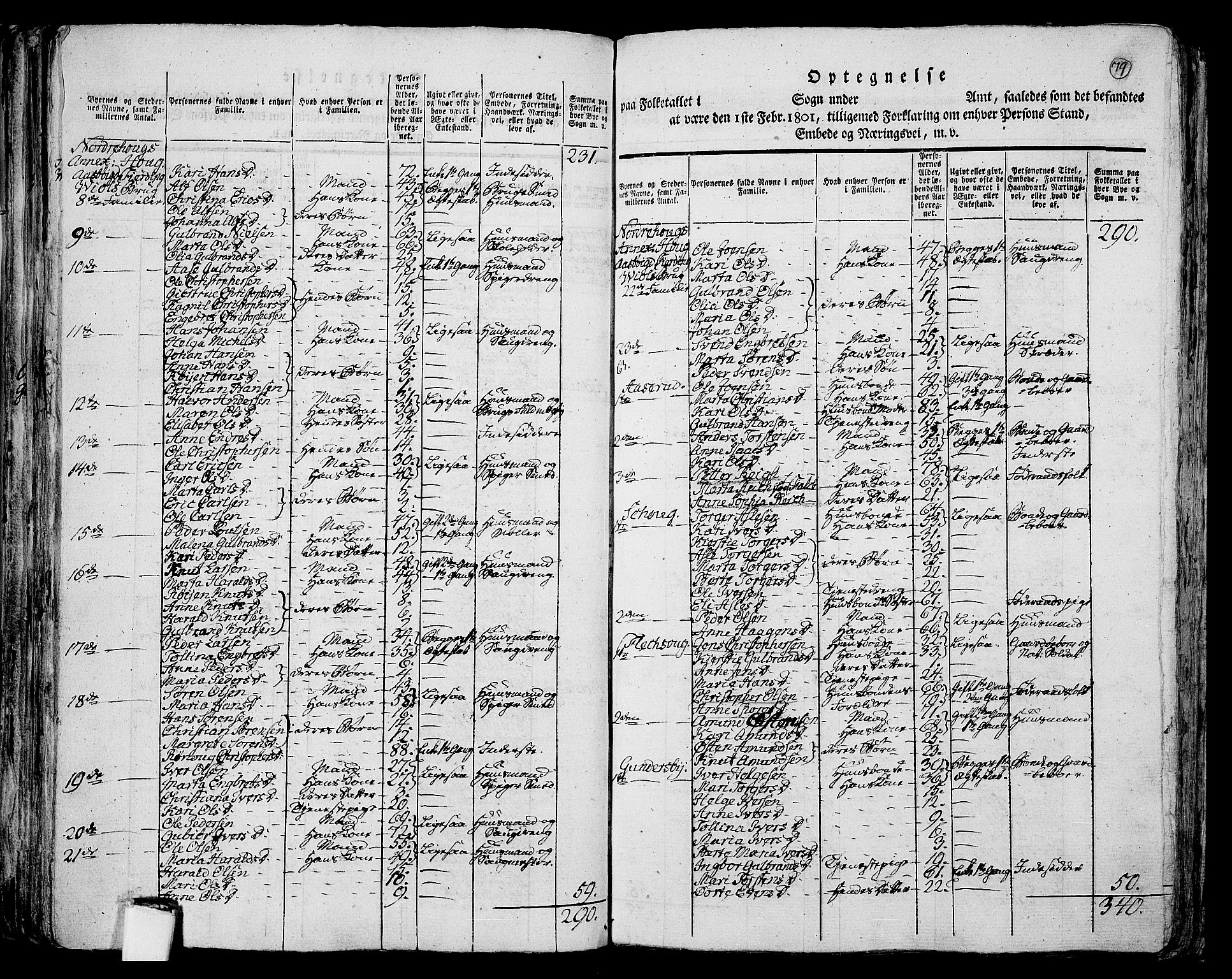 RA, 1801 census for 0613P Norderhov, 1801, p. 78b-79a