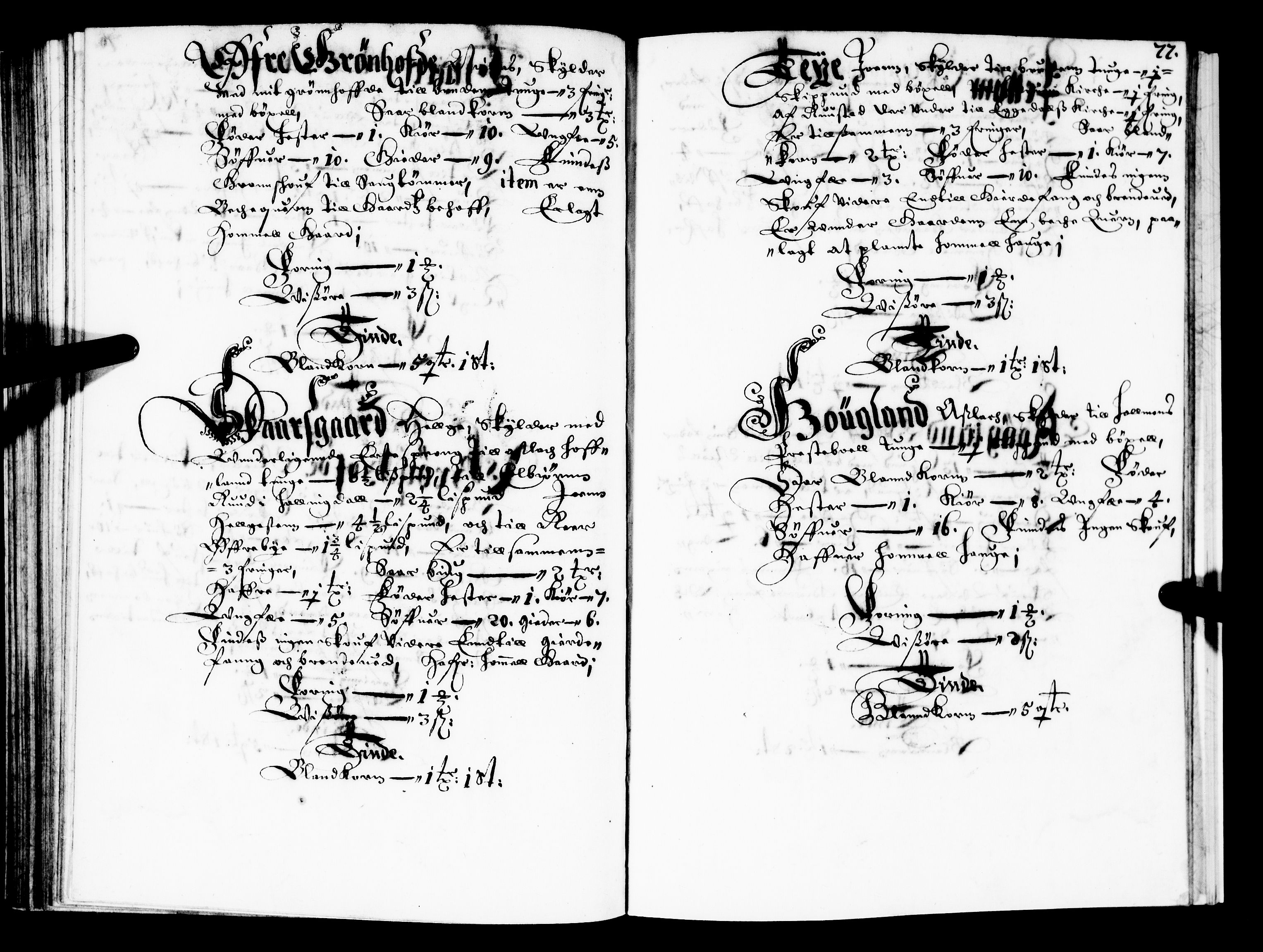 Rentekammeret inntil 1814, Realistisk ordnet avdeling, AV/RA-EA-4070/N/Nb/Nba/L0022: Buskerud fogderi, 1667, p. 76b-77a