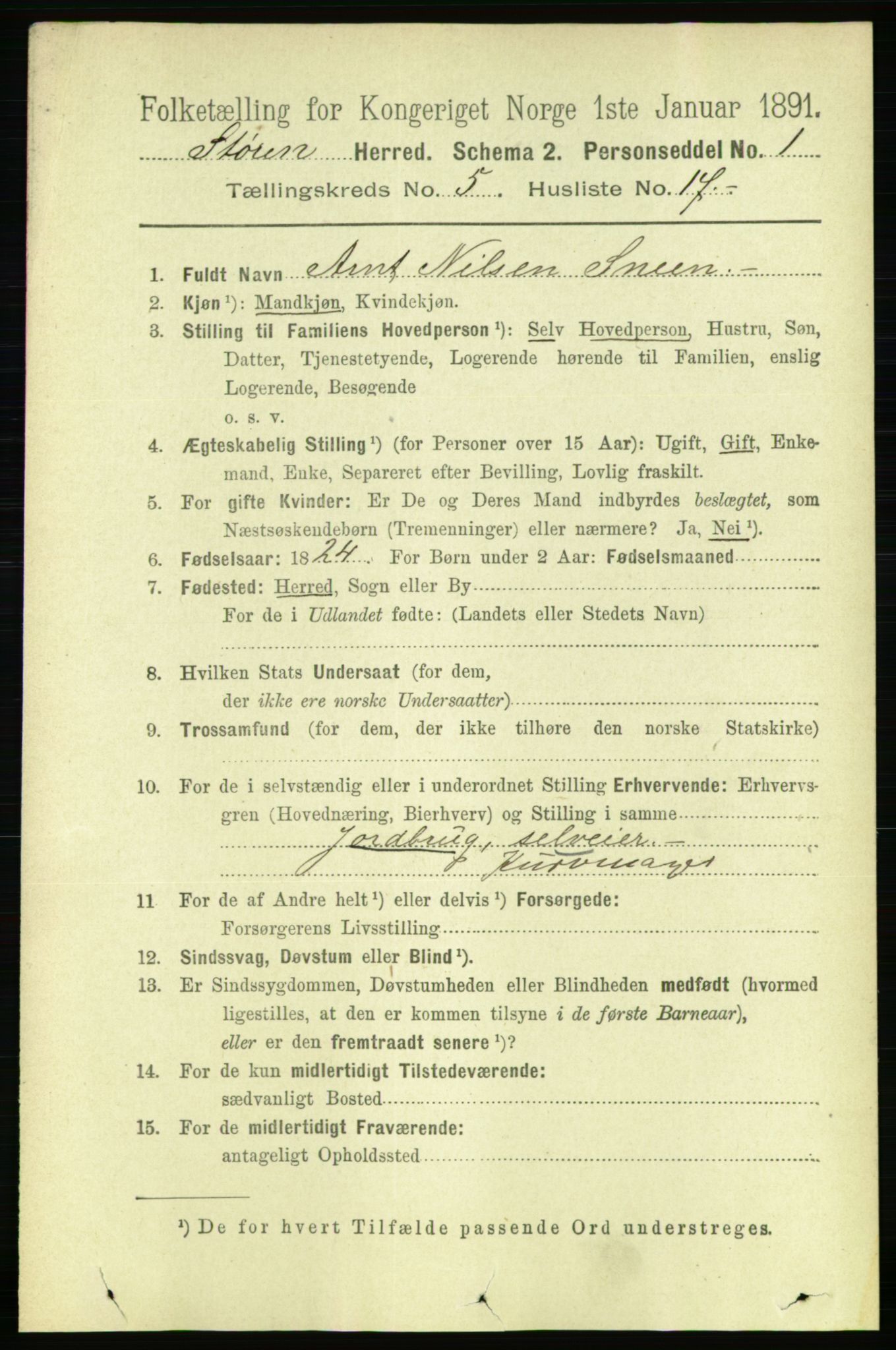 RA, 1891 census for 1648 Støren, 1891, p. 2033