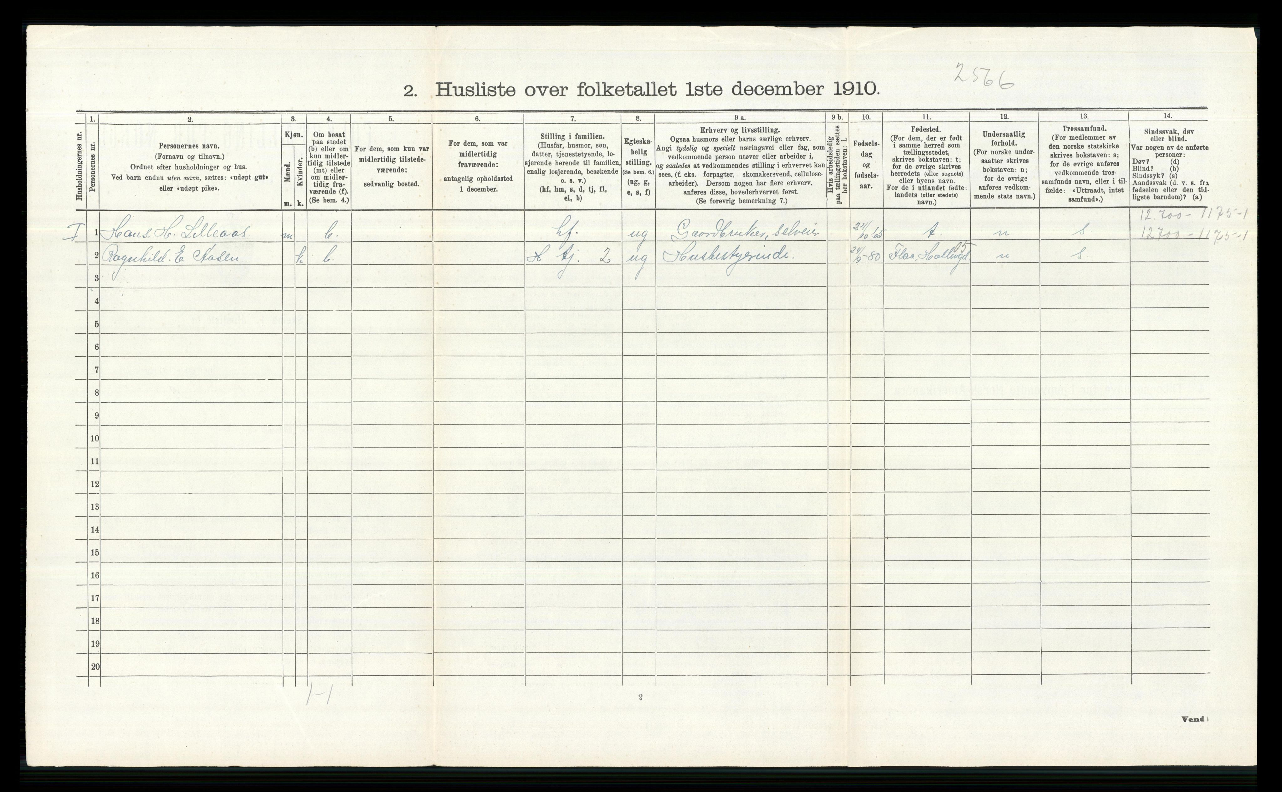 RA, 1910 census for Øvre Eiker, 1910, p. 1336