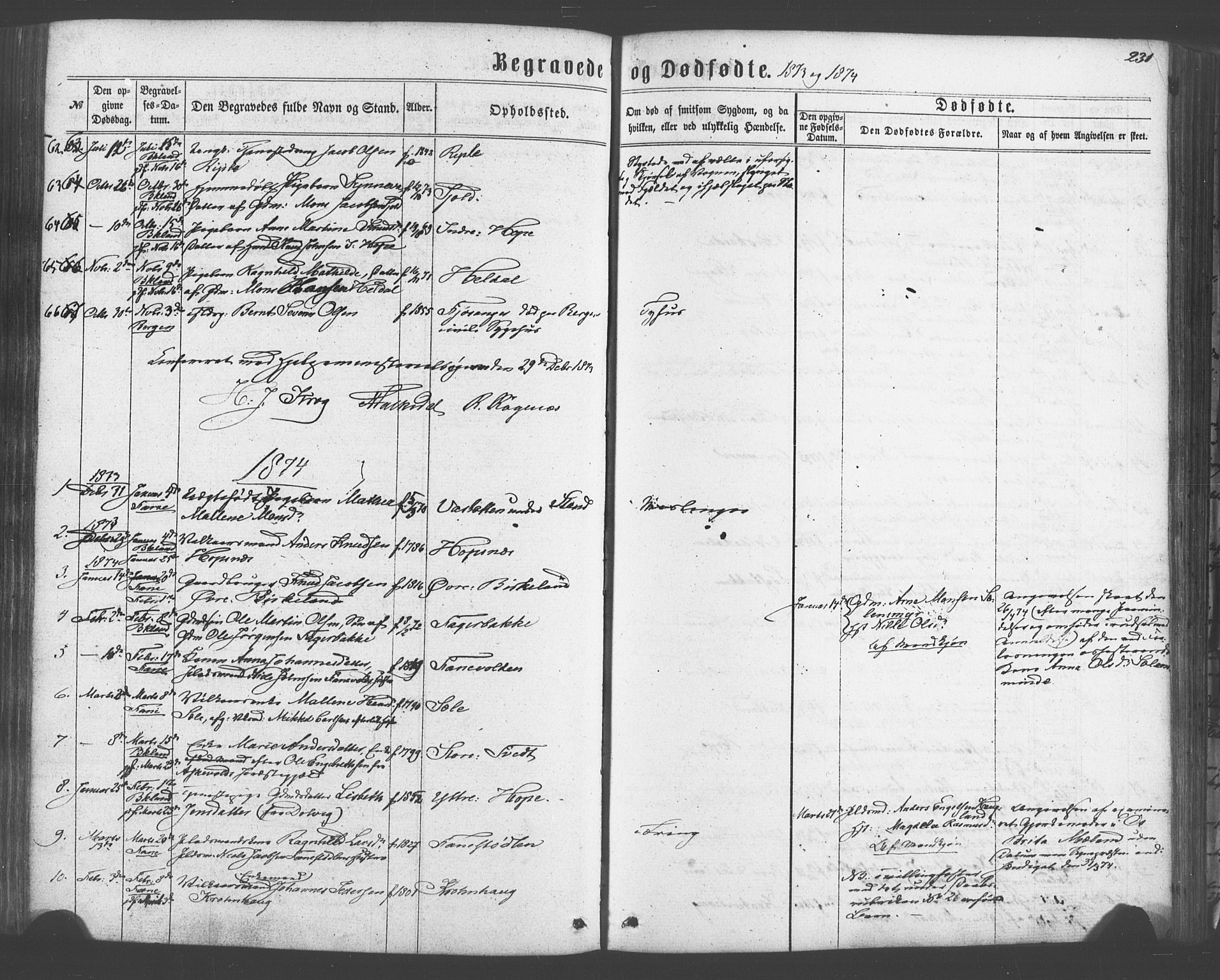 Fana Sokneprestembete, SAB/A-75101/H/Haa/Haaa/L0012: Parish register (official) no. A 12, 1862-1878, p. 231