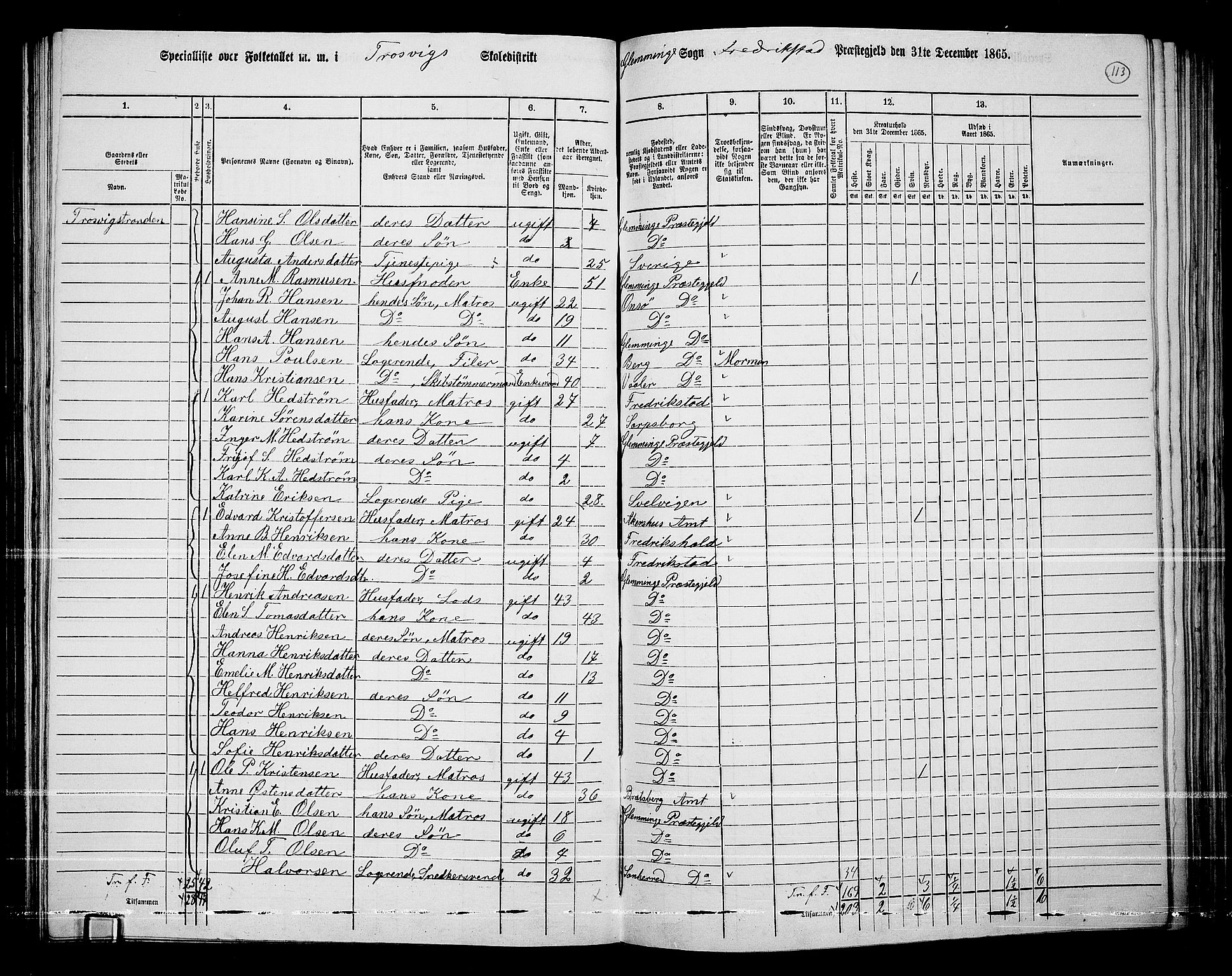 RA, 1865 census for Fredrikstad/Glemmen, 1865, p. 109