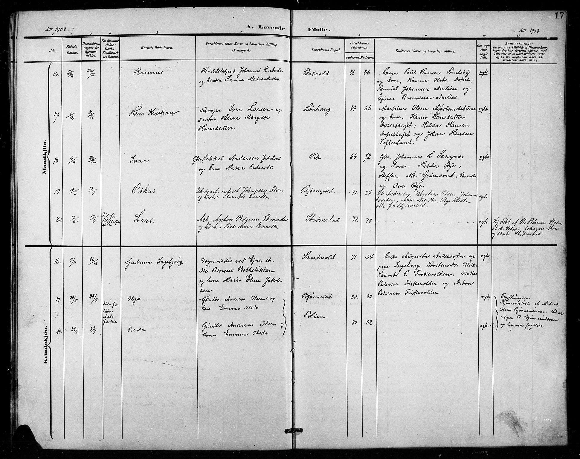 Vestre Toten prestekontor, SAH/PREST-108/H/Ha/Hab/L0016: Parish register (copy) no. 16, 1901-1915, p. 17