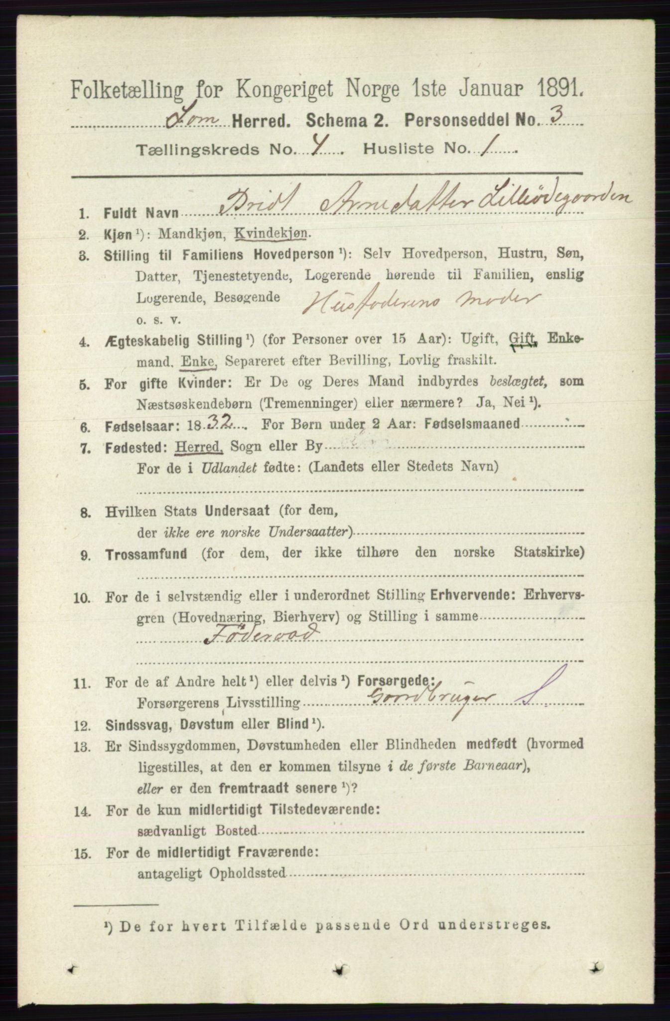 RA, 1891 census for 0514 Lom, 1891, p. 1506