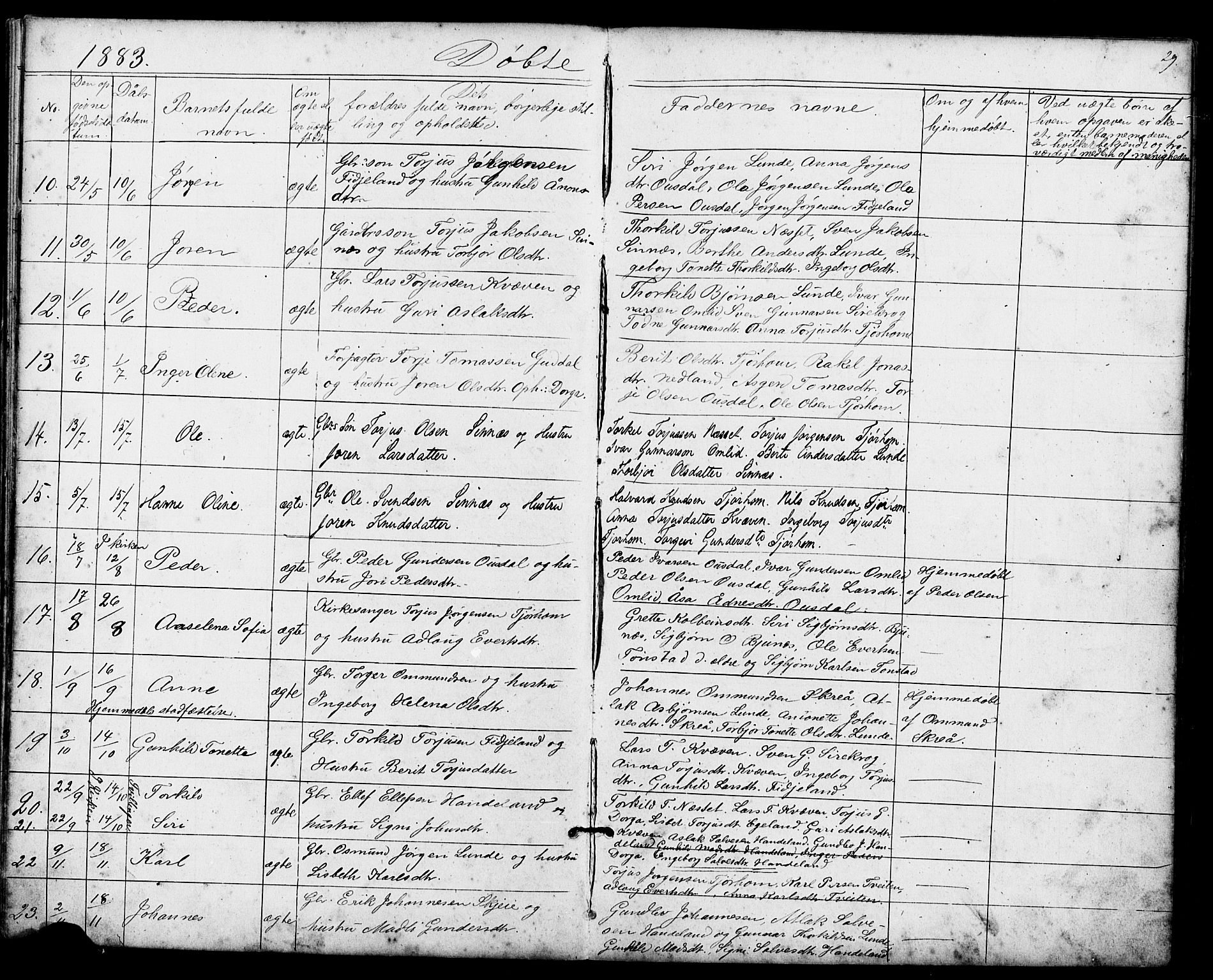 Sirdal sokneprestkontor, AV/SAK-1111-0036/F/Fb/Fba/L0001: Parish register (copy) no. B 1, 1872-1905, p. 29