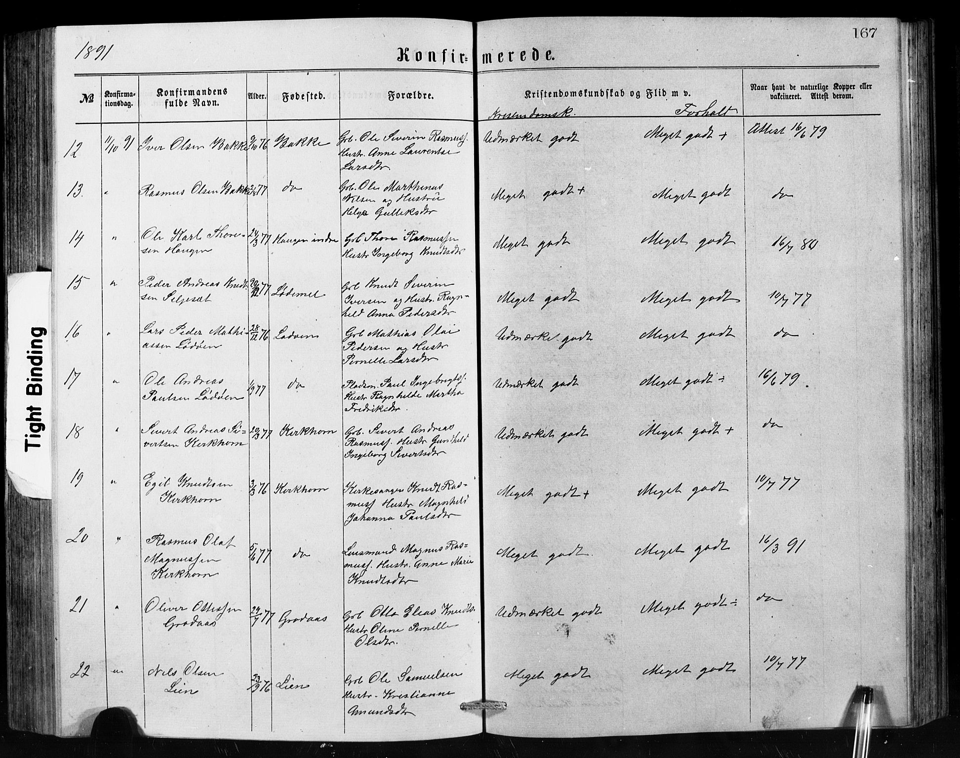Hornindal sokneprestembete, SAB/A-82401/H/Hab: Parish register (copy) no. A 1, 1876-1894, p. 167