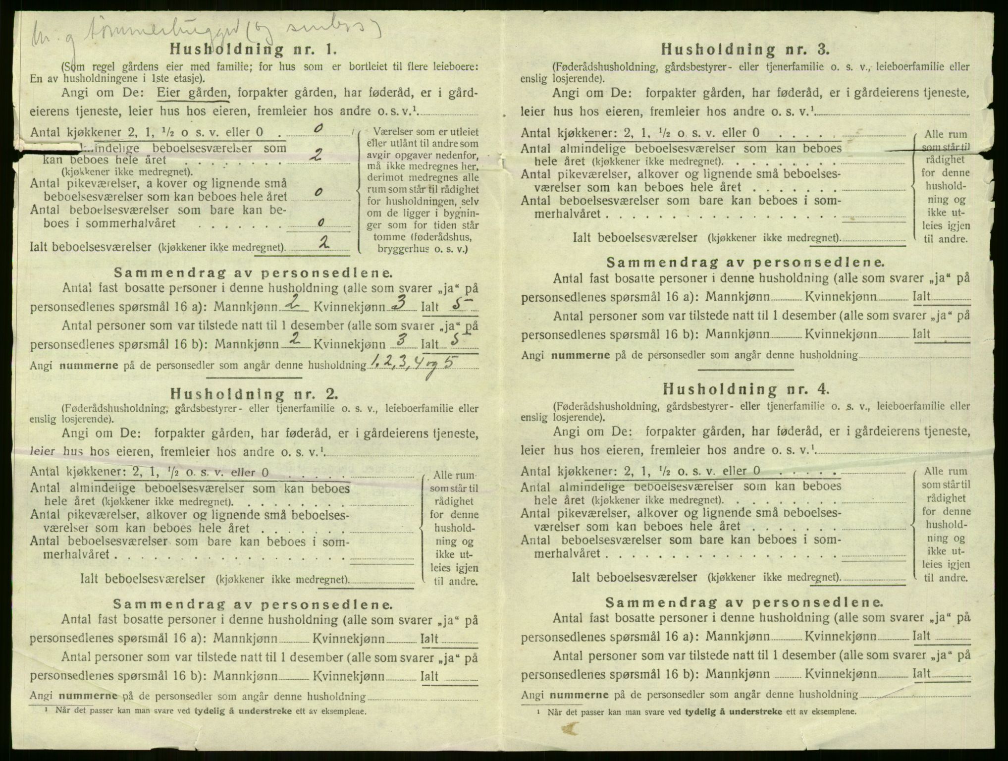 SAKO, 1920 census for Nore, 1920, p. 707