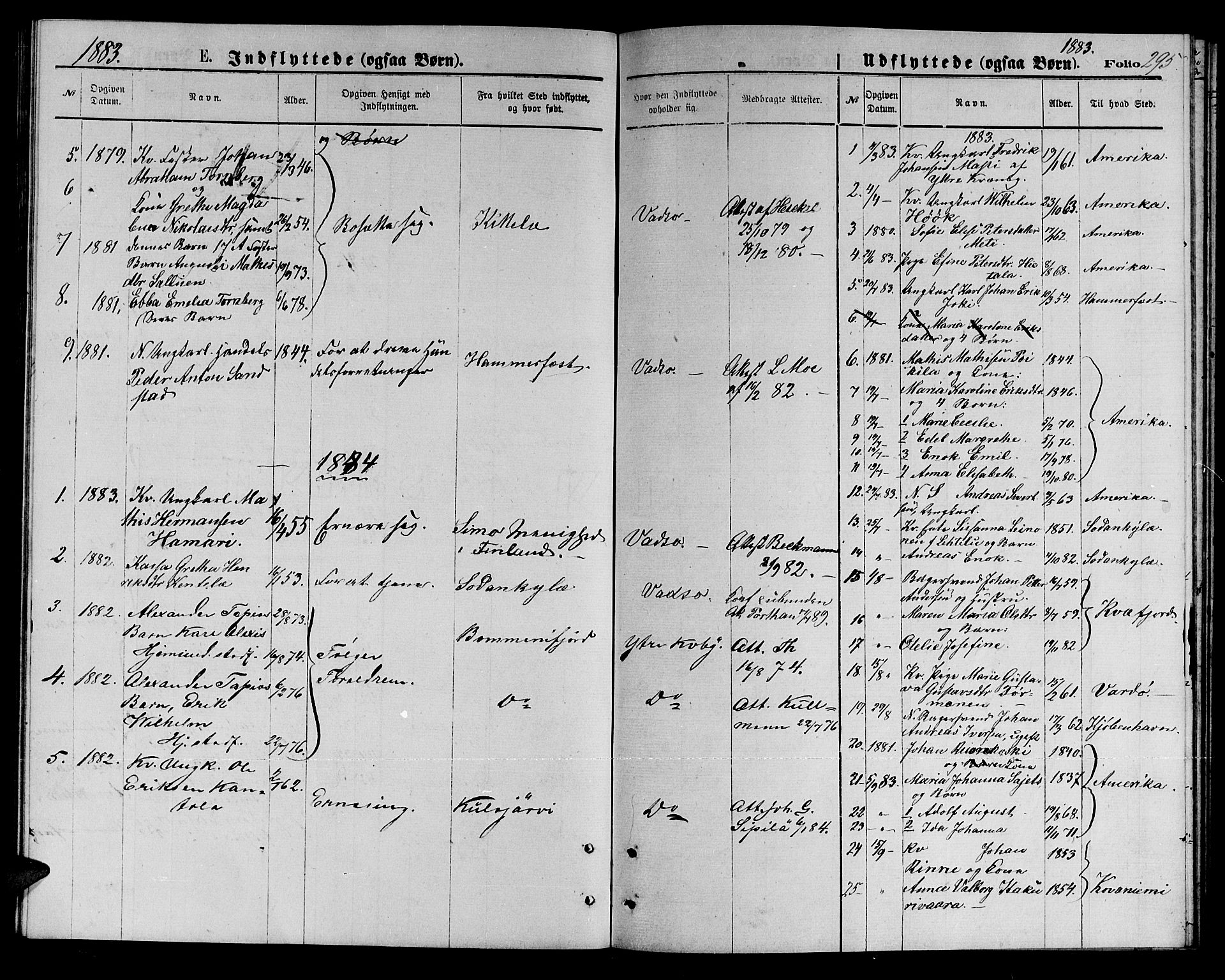 Vadsø sokneprestkontor, SATØ/S-1325/H/Hb/L0002klokker: Parish register (copy) no. 2, 1875-1884, p. 295