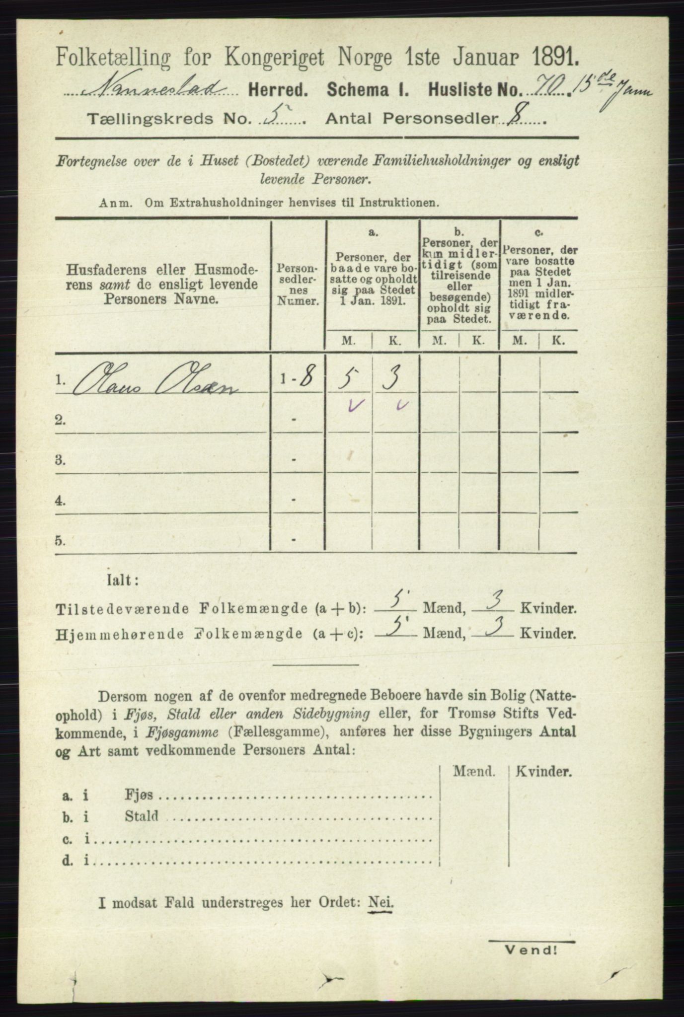 RA, 1891 census for 0238 Nannestad, 1891, p. 2593