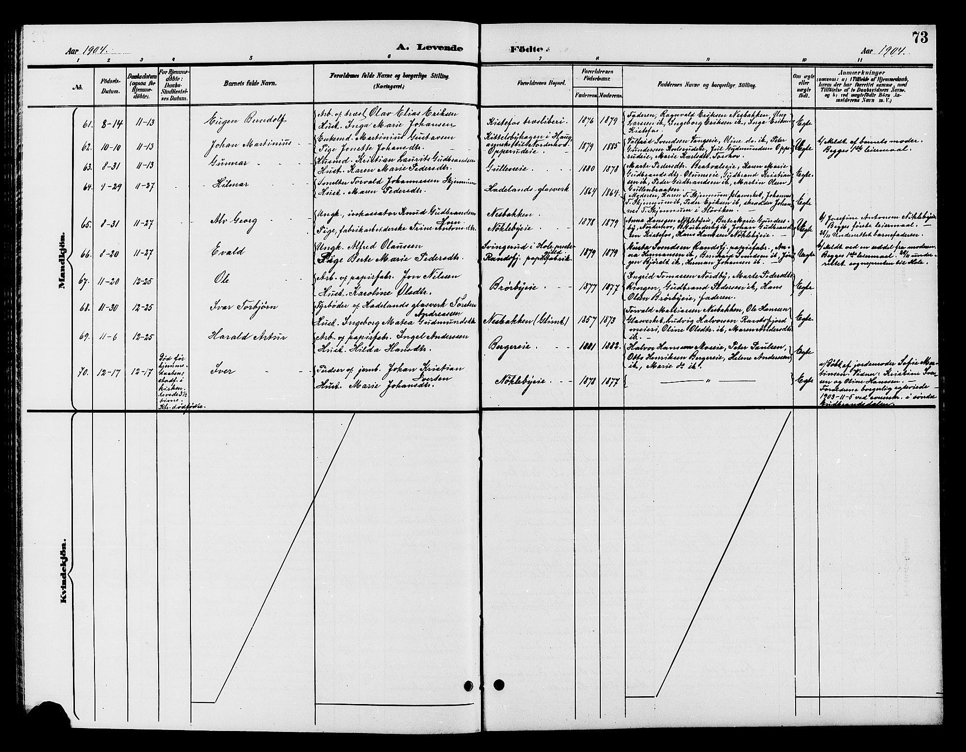 Jevnaker prestekontor, SAH/PREST-116/H/Ha/Hab/L0002: Parish register (copy) no. 2, 1896-1906, p. 73
