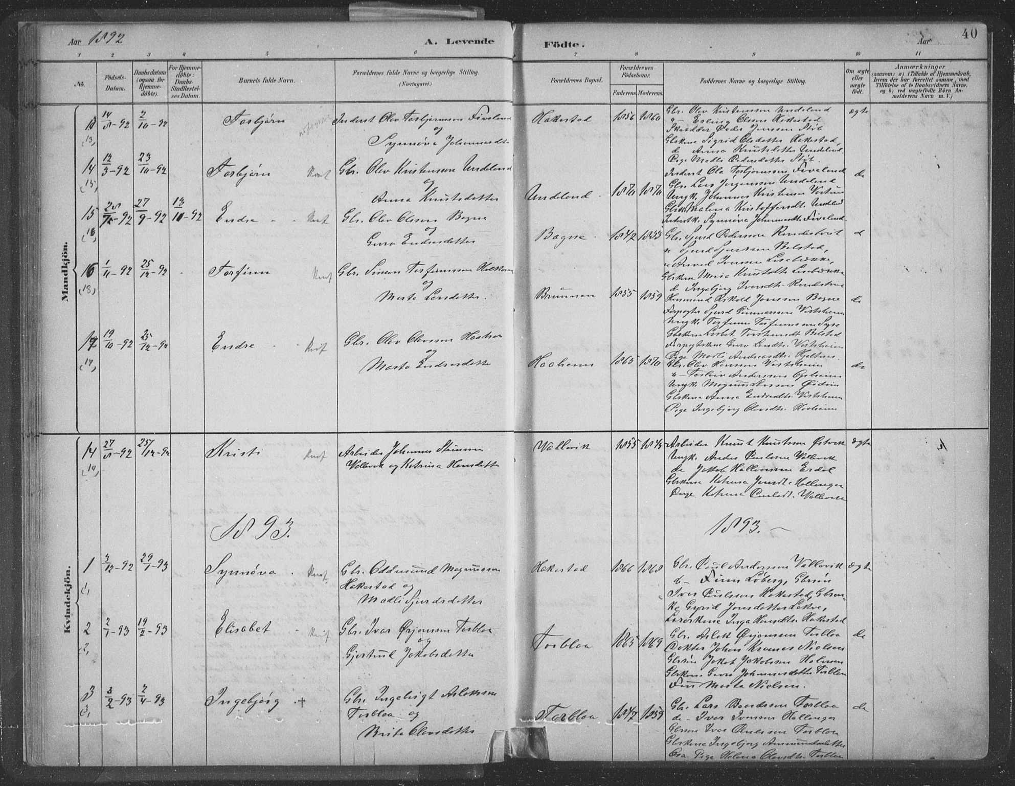 Ulvik sokneprestembete, SAB/A-78801/H/Hab: Parish register (copy) no. A 3, 1883-1908, p. 40