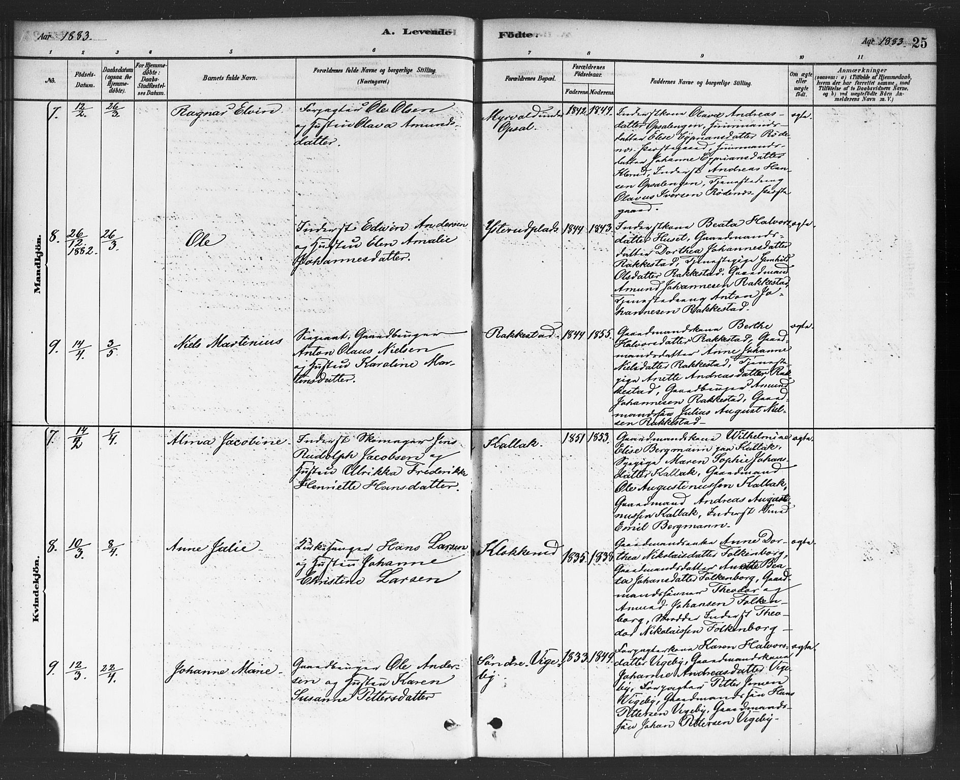 Rødenes prestekontor Kirkebøker, AV/SAO-A-2005/F/Fa/L0009: Parish register (official) no. I 9, 1880-1889, p. 25