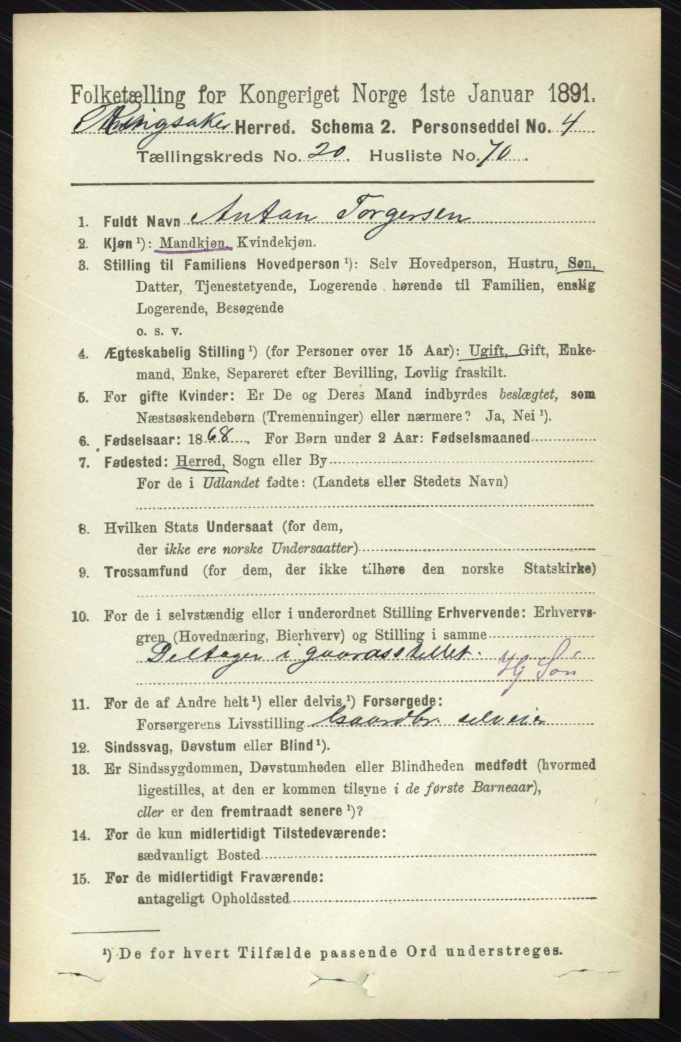 RA, 1891 census for 0412 Ringsaker, 1891, p. 11555