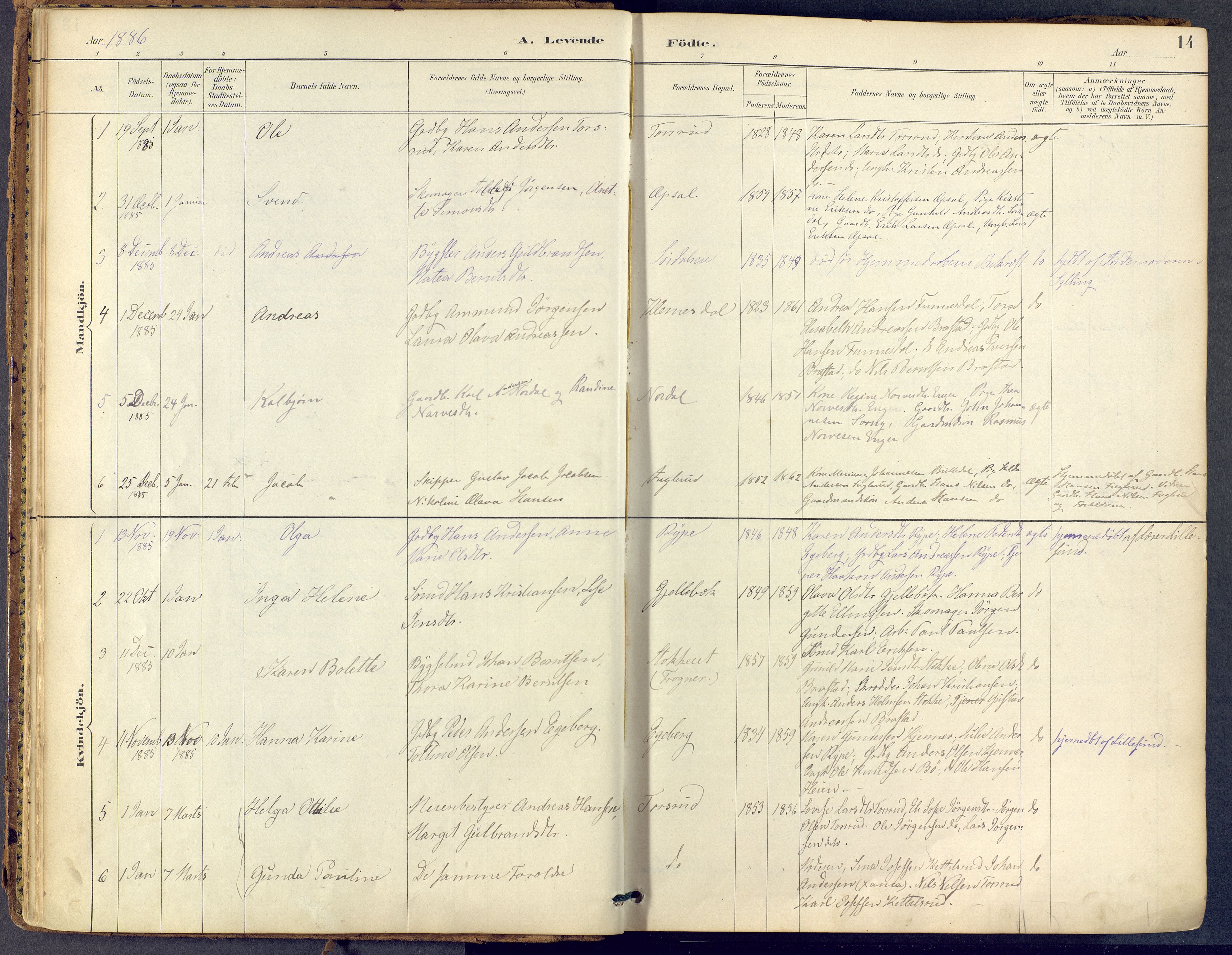 Lier kirkebøker, AV/SAKO-A-230/F/Fb/L0001: Parish register (official) no. II 1, 1883-1910, p. 14