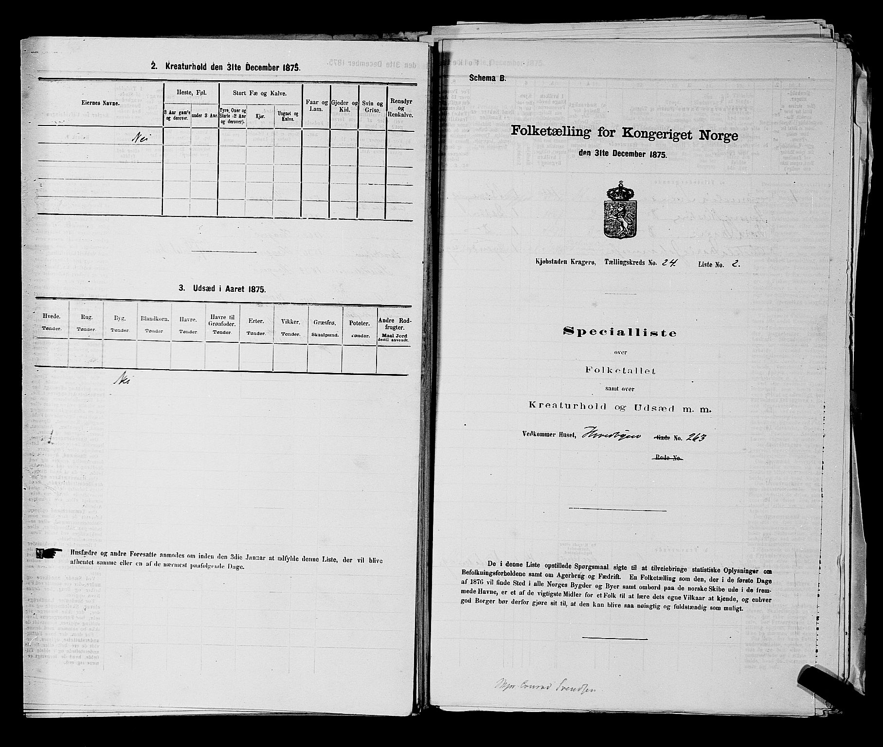 SAKO, 1875 census for 0801P Kragerø, 1875, p. 513