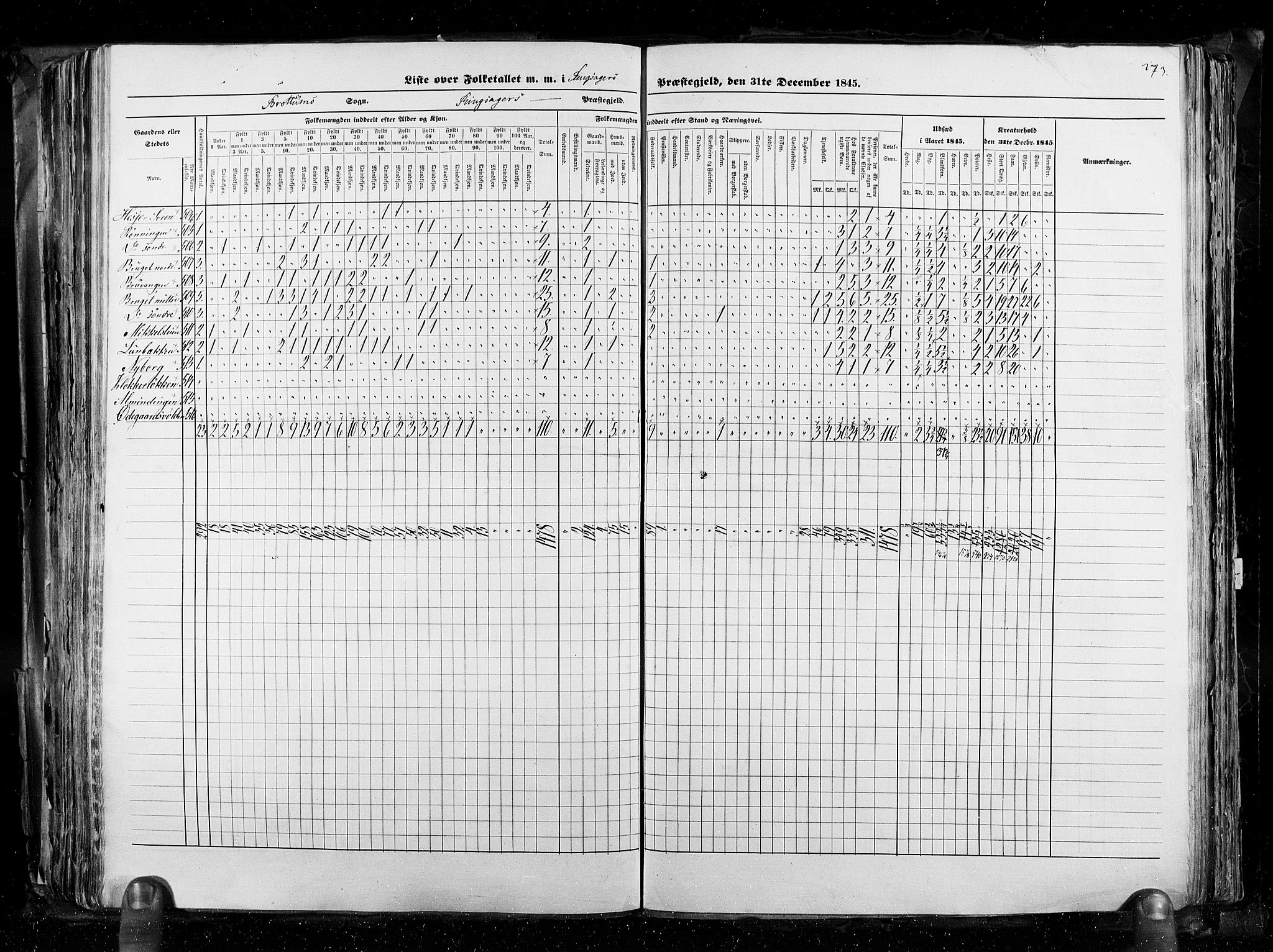 RA, Census 1845, vol. 3: Hedemarken amt og Kristians amt, 1845, p. 273