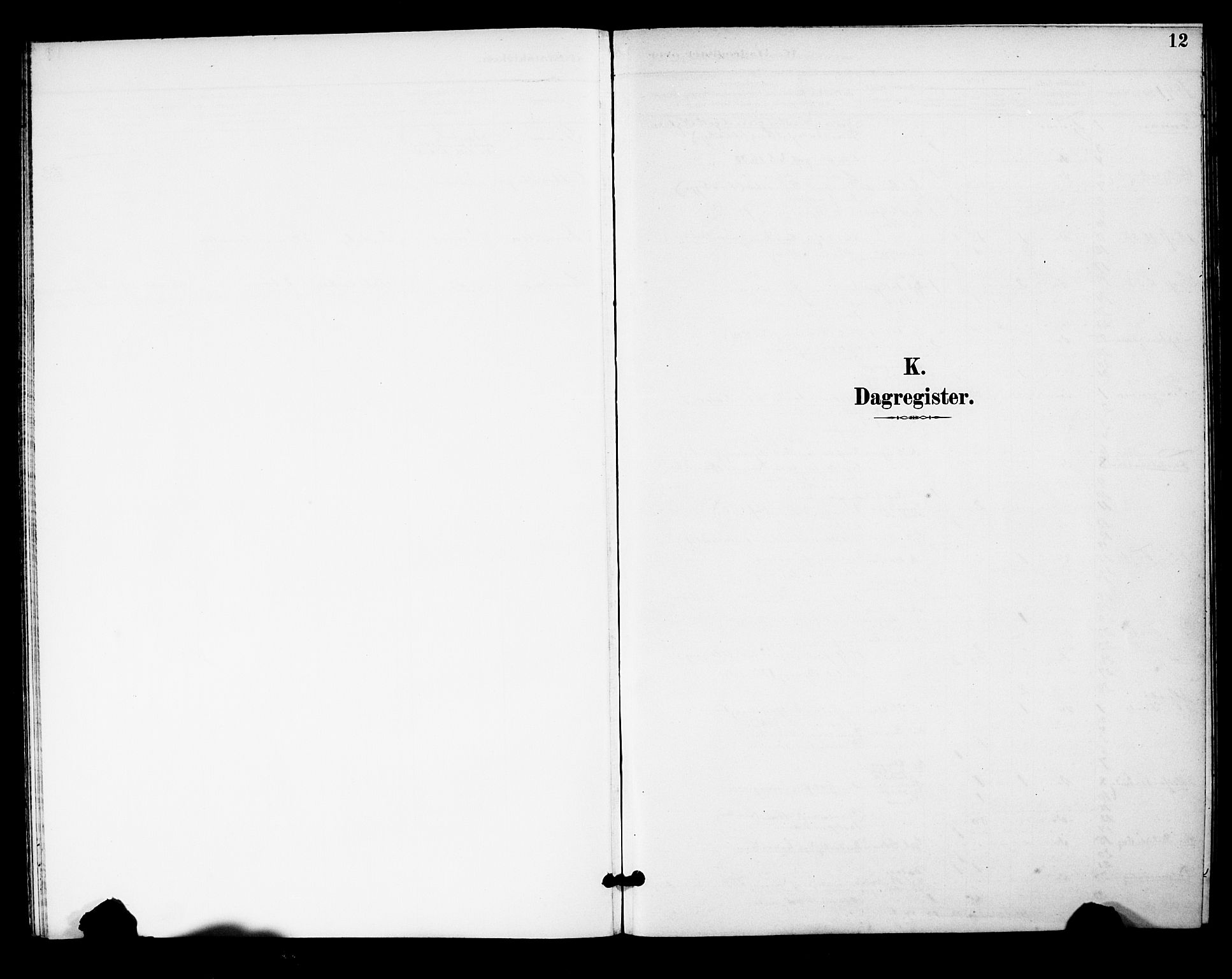 Tjøme kirkebøker, SAKO/A-328/F/Fa/L0004: Parish register (official) no. 4, 1891-1900, p. 12