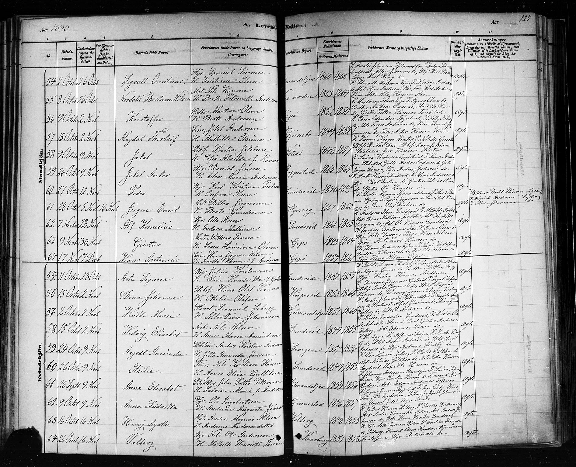 Nøtterøy kirkebøker, SAKO/A-354/F/Fa/L0008: Parish register (official) no. I 8, 1878-1893, p. 125