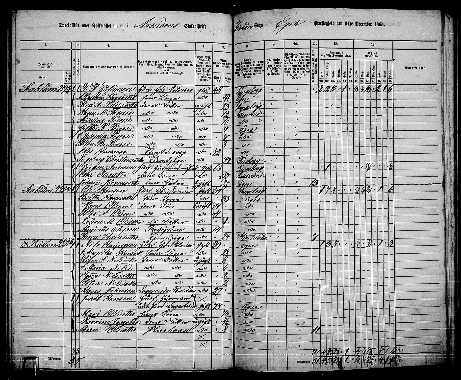 RA, 1865 census for Eiker, 1865, p. 497