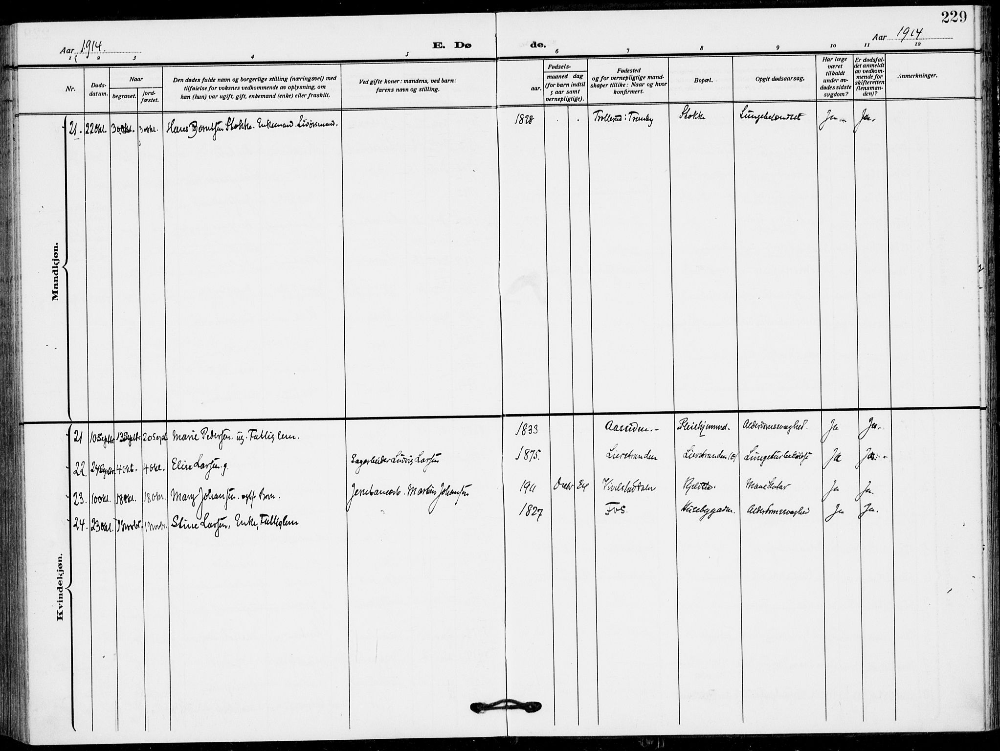 Lier kirkebøker, AV/SAKO-A-230/F/Fa/L0018: Parish register (official) no. I 18, 1909-1917, p. 229