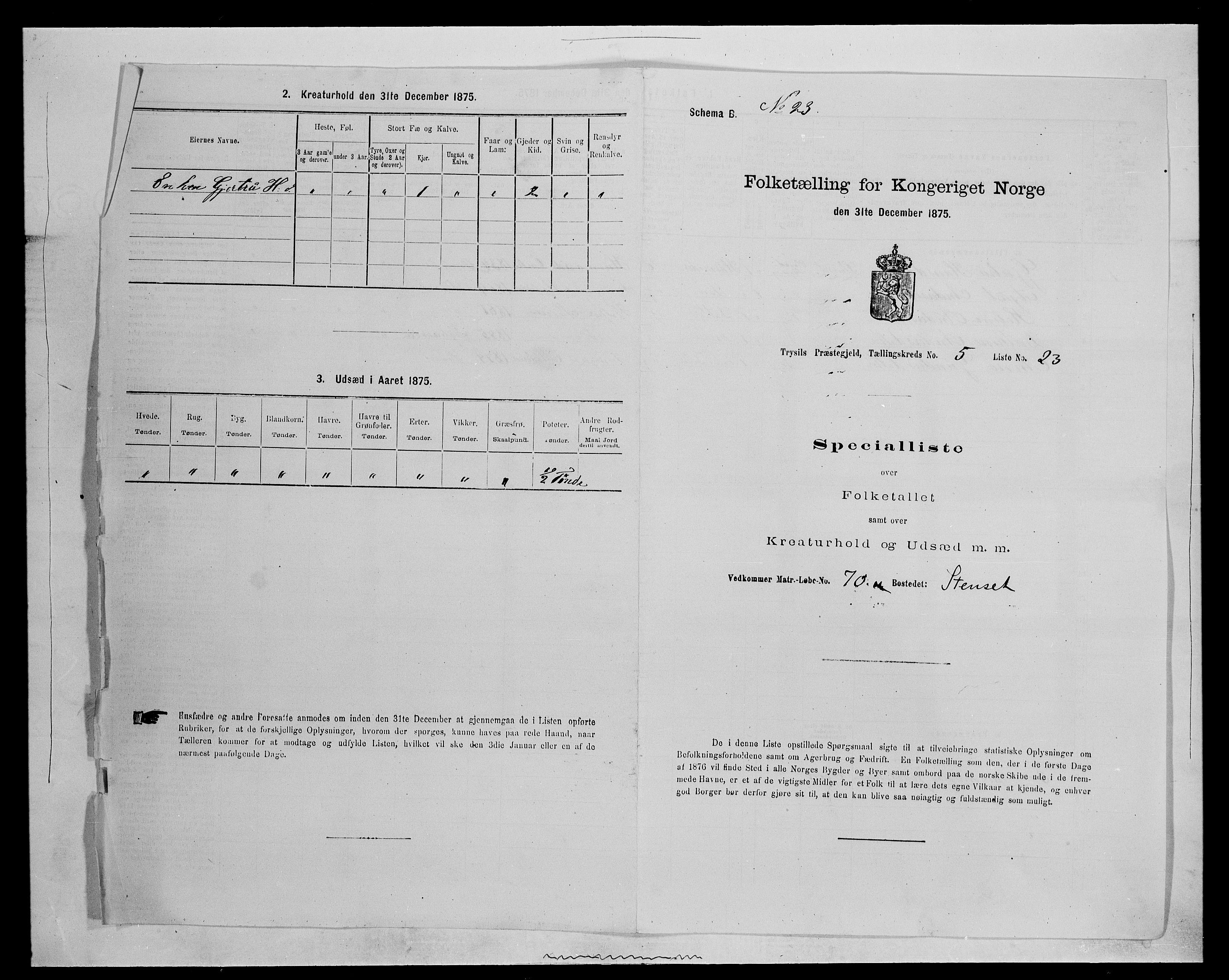 SAH, 1875 census for 0428P Trysil, 1875, p. 718