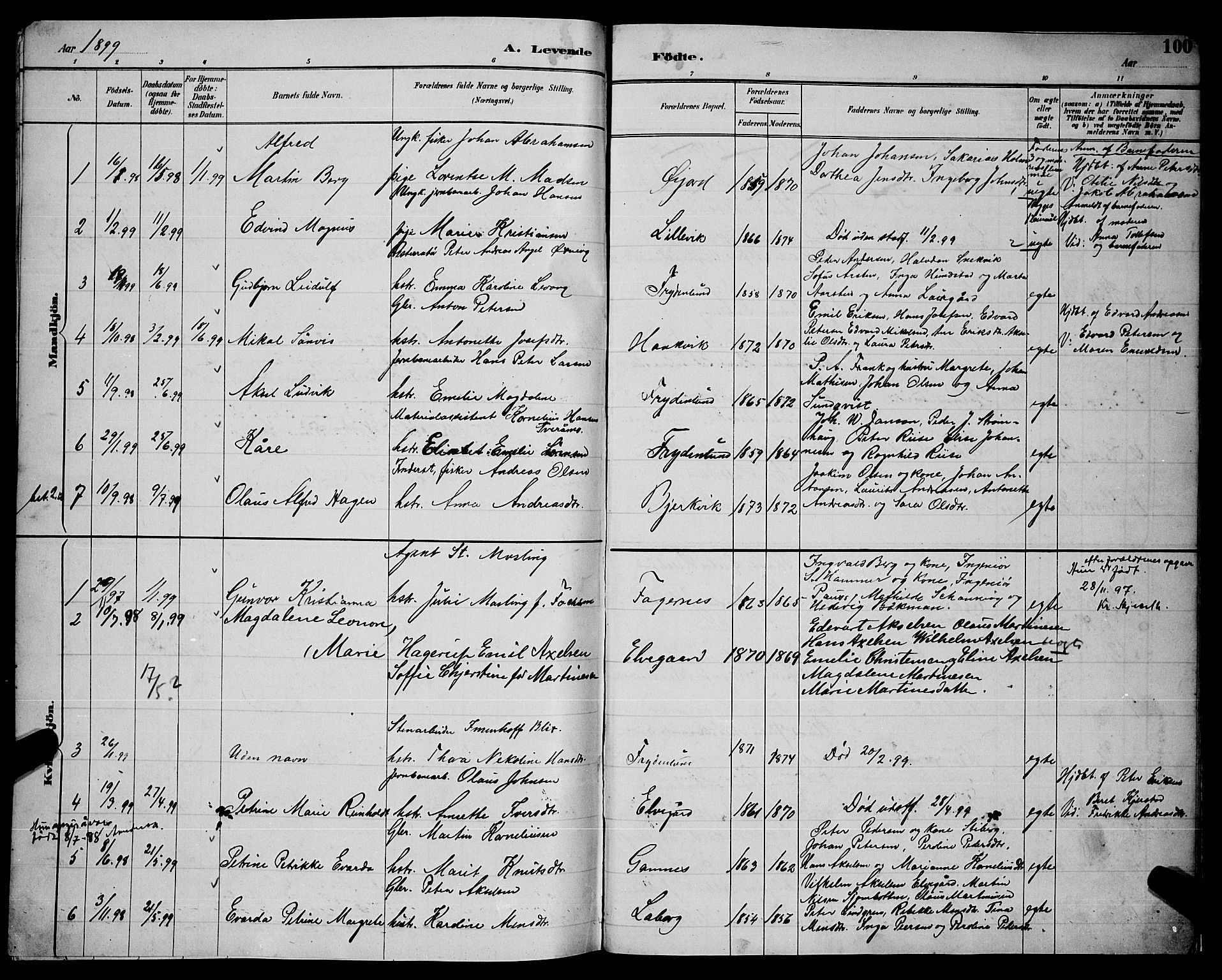 Ministerialprotokoller, klokkerbøker og fødselsregistre - Nordland, AV/SAT-A-1459/866/L0952: Parish register (copy) no. 866C01, 1886-1899, p. 100