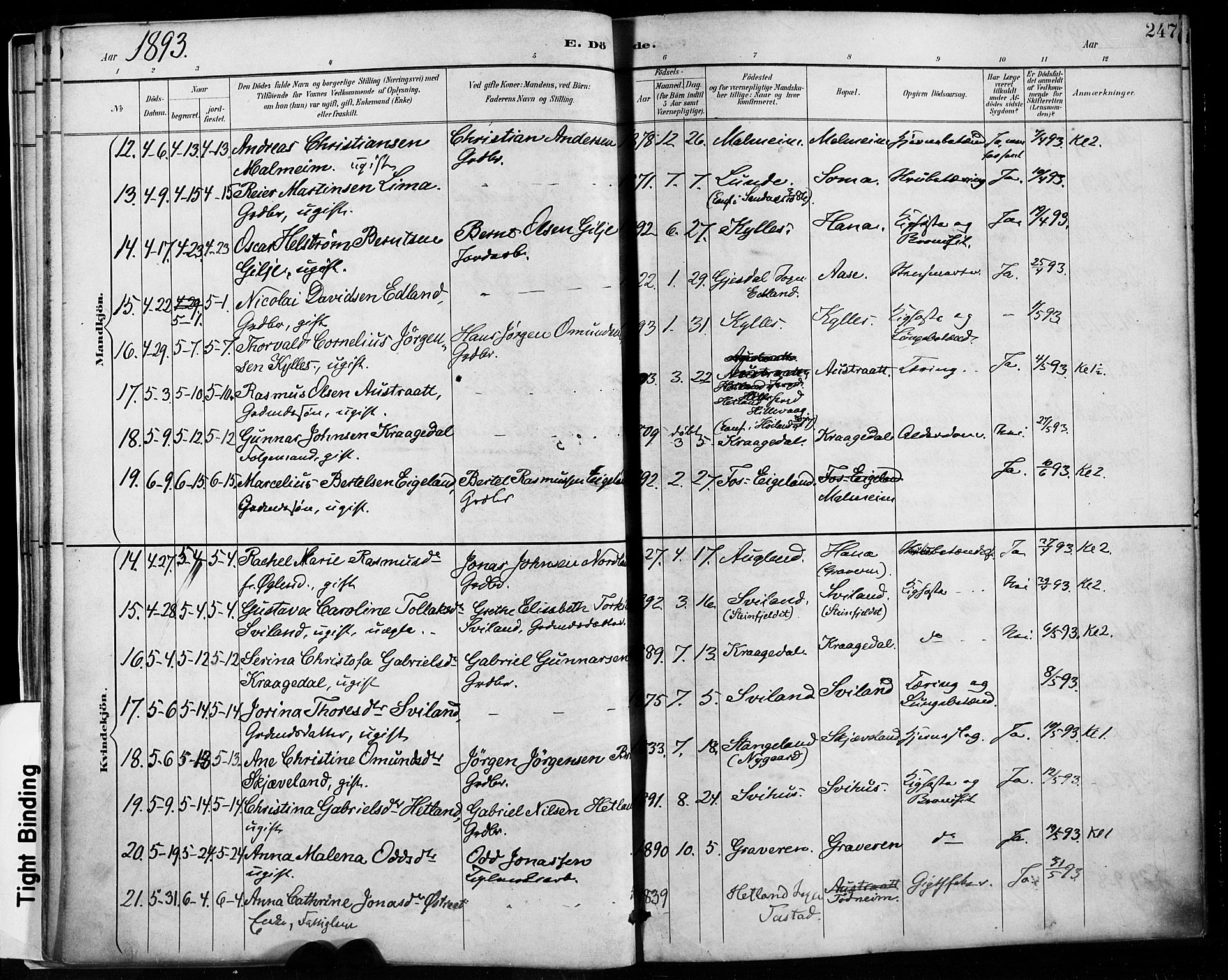 Høyland sokneprestkontor, AV/SAST-A-101799/001/30BA/L0013: Parish register (official) no. A 13.2, 1889-1898, p. 247