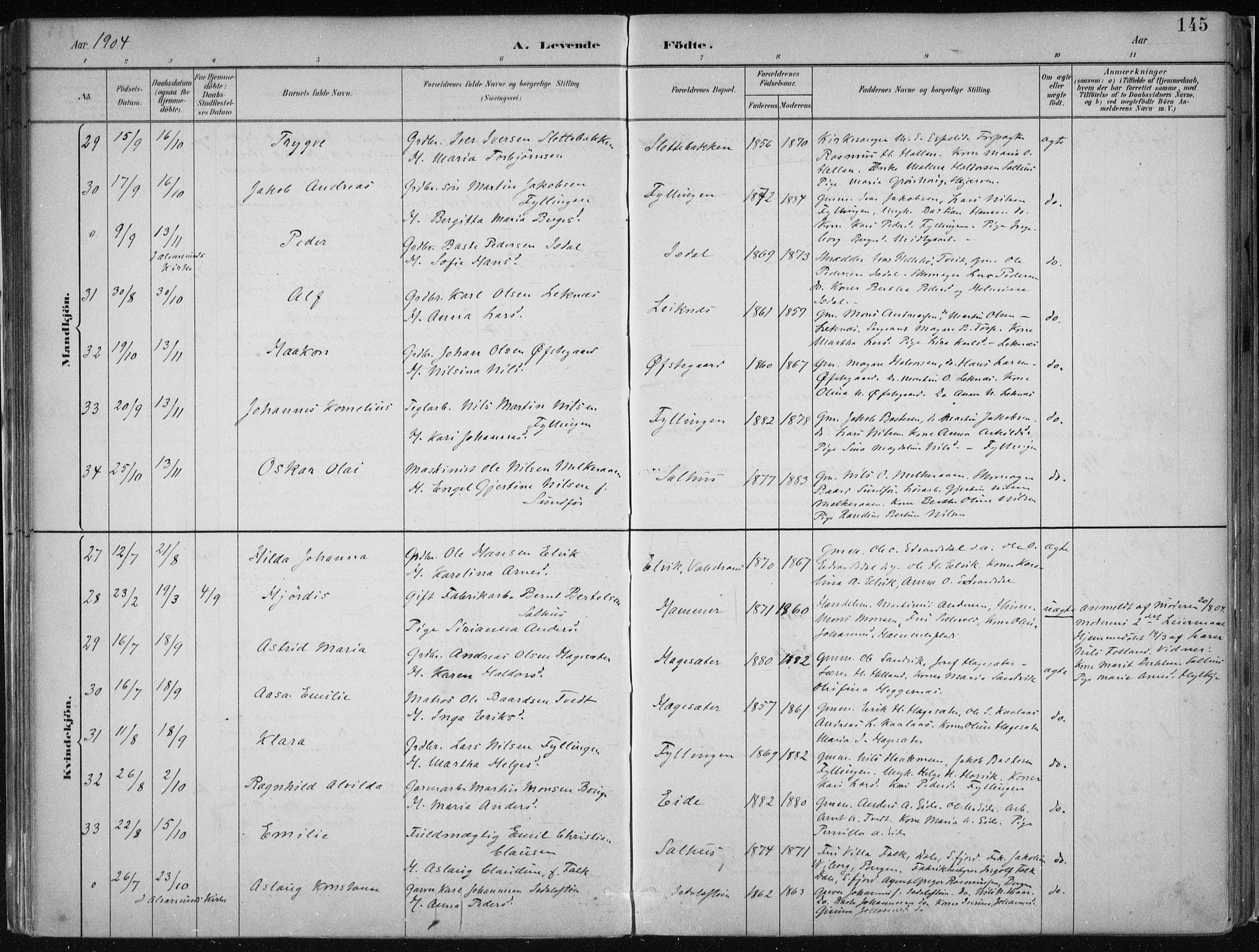 Hamre sokneprestembete, AV/SAB-A-75501/H/Ha/Haa/Haab/L0001: Parish register (official) no. B  1, 1882-1905, p. 145