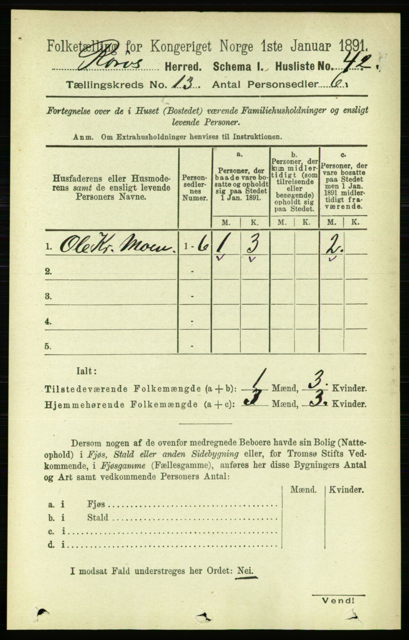 RA, 1891 census for 1640 Røros, 1891, p. 2550