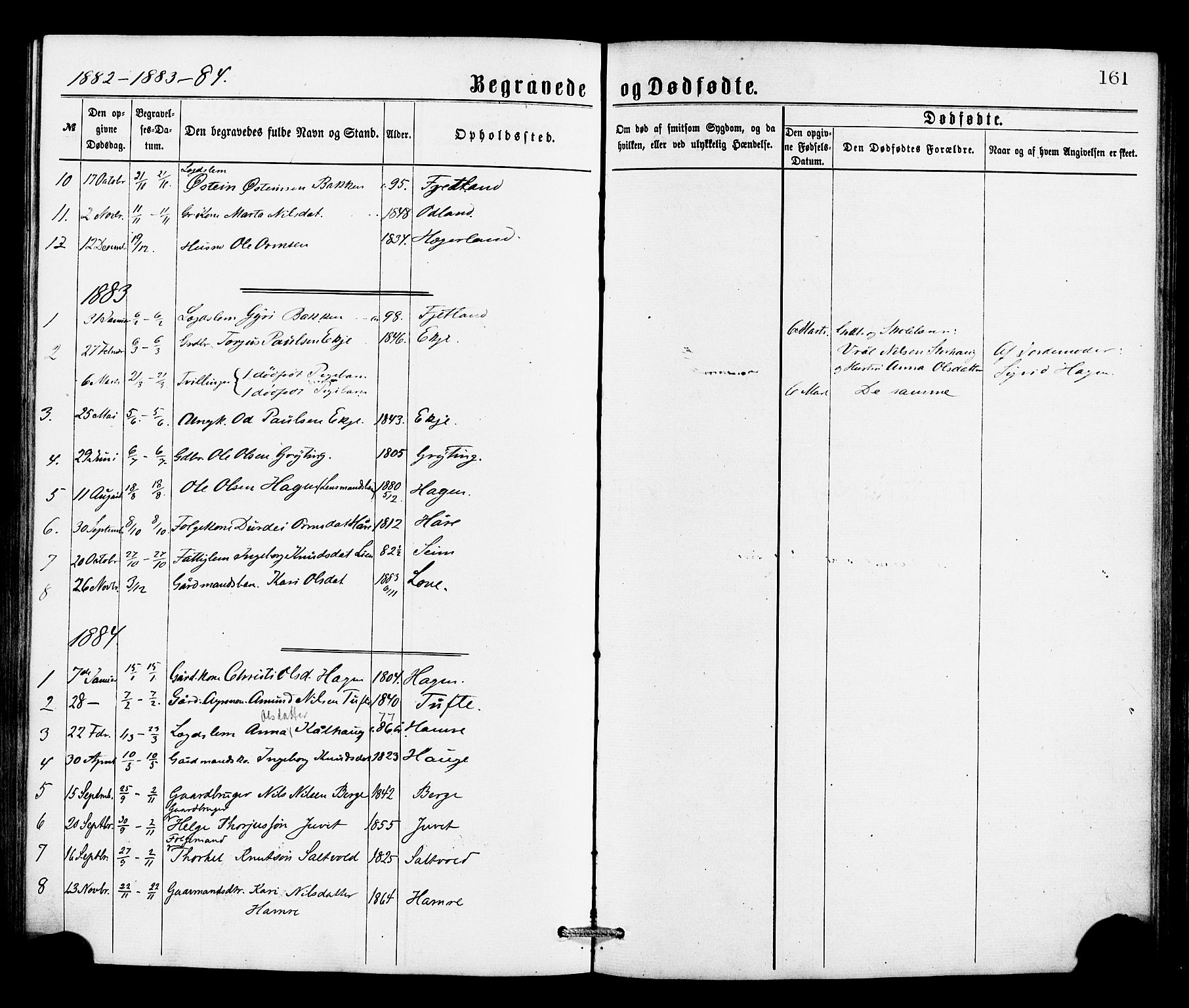 Røldal sokneprestembete, SAB/A-100247: Parish register (official) no. A 4, 1870-1886, p. 161