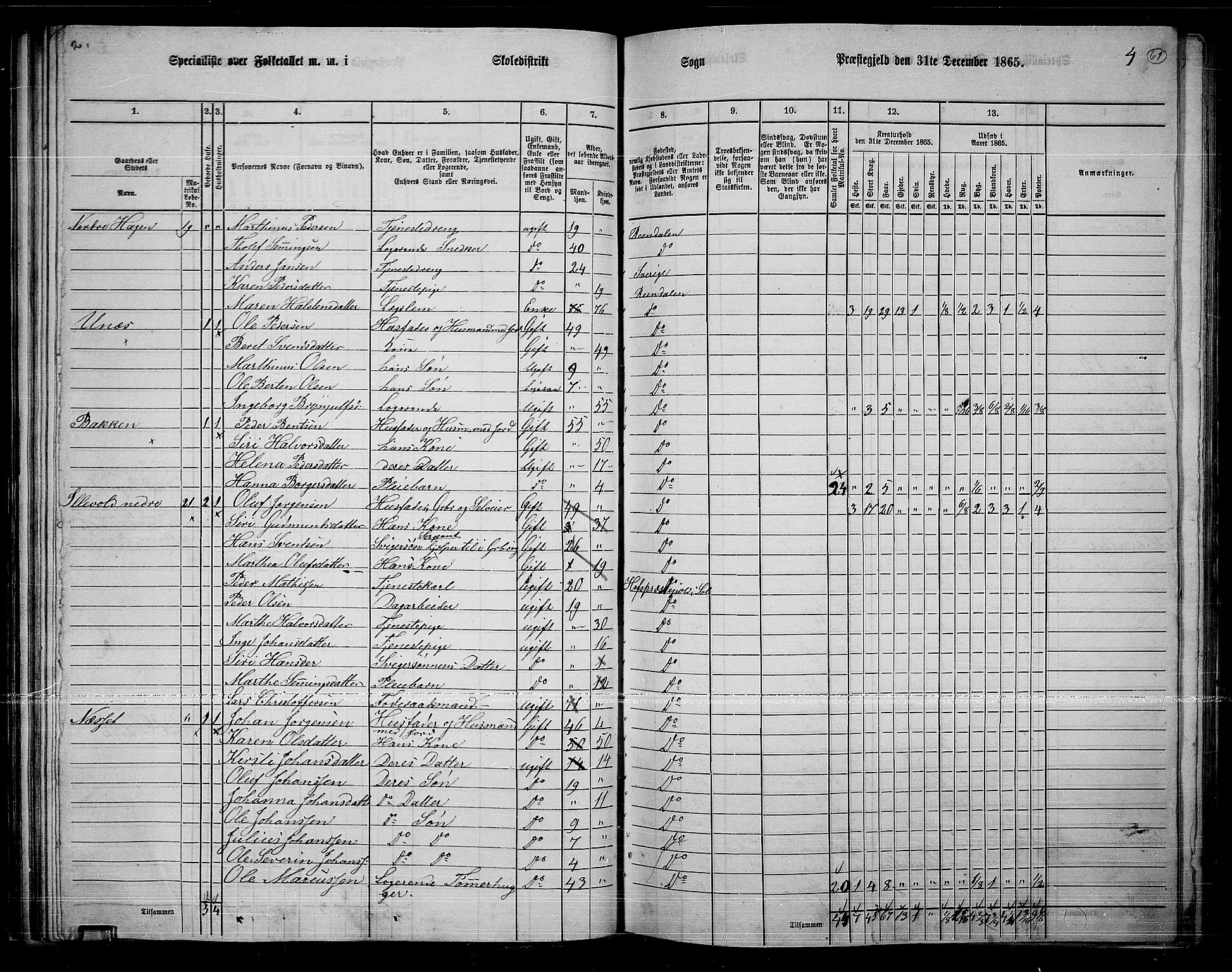 RA, 1865 census for Rendalen, 1865, p. 54