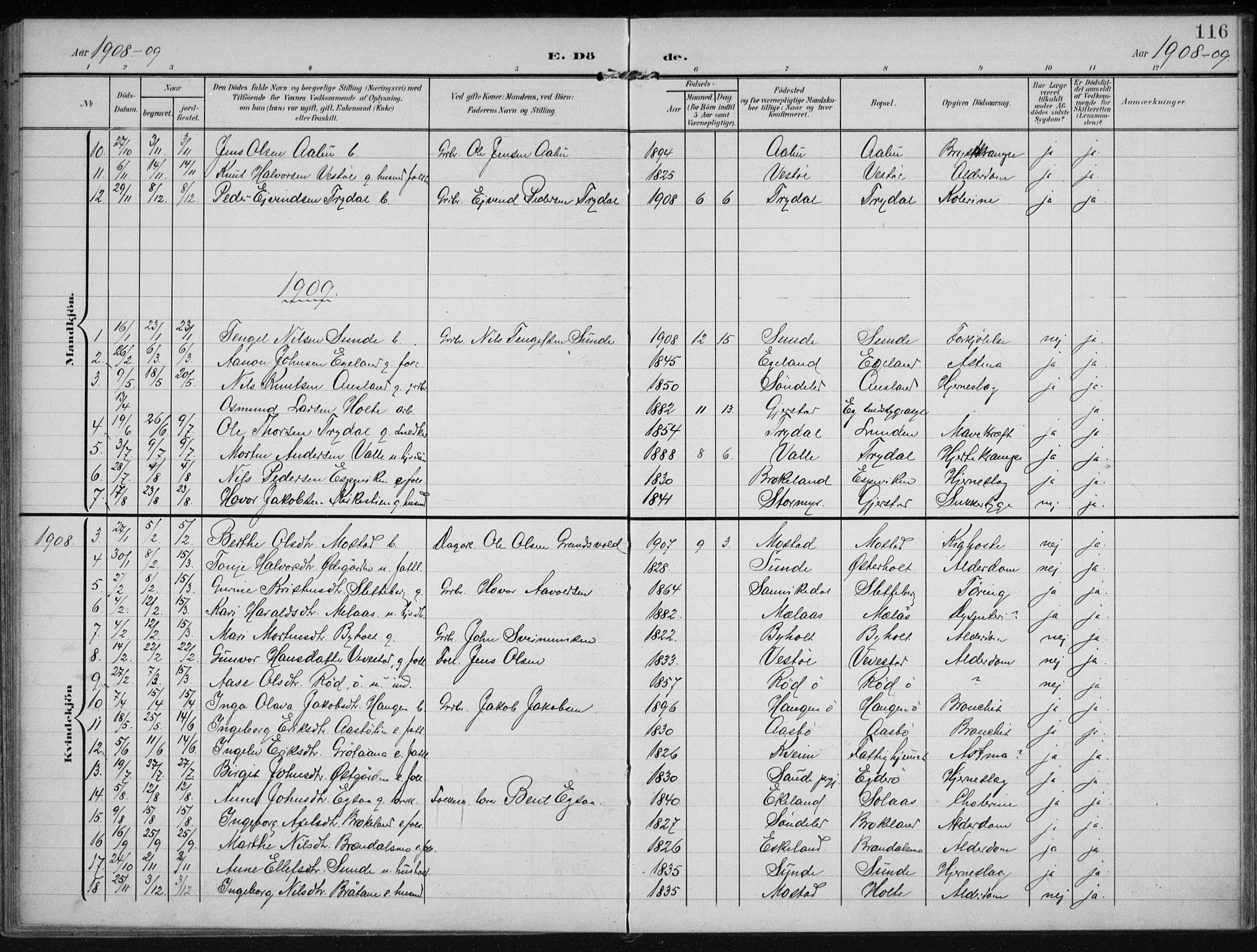 Gjerstad sokneprestkontor, AV/SAK-1111-0014/F/Fa/Faa/L0011: Parish register (official) no. A 11, 1903-1914, p. 116