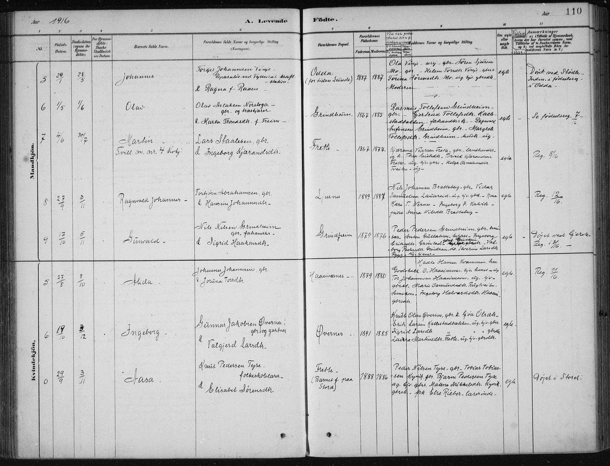 Etne sokneprestembete, AV/SAB-A-75001/H/Haa: Parish register (official) no. D  1, 1879-1919, p. 110