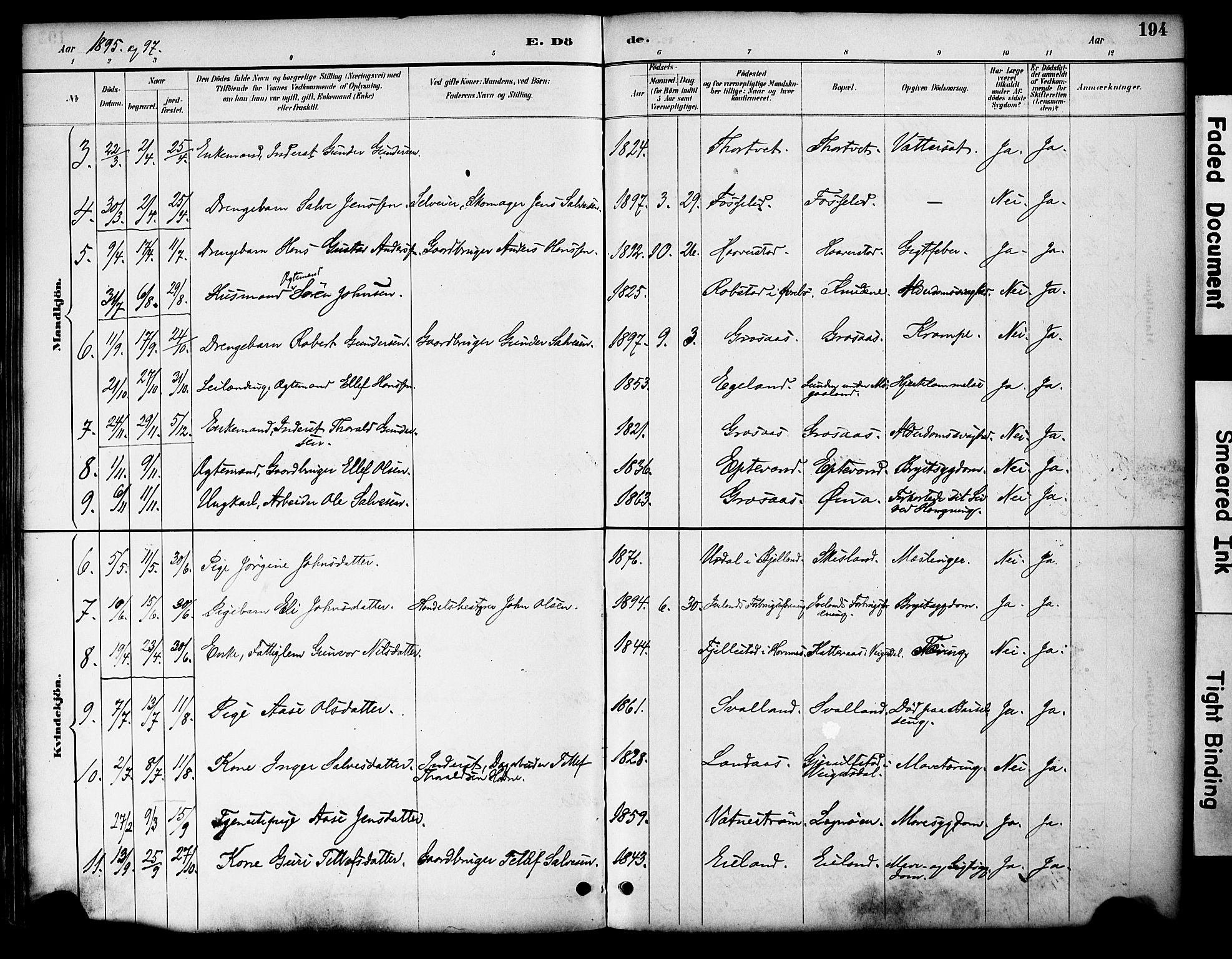 Evje sokneprestkontor, AV/SAK-1111-0008/F/Fa/Fac/L0003: Parish register (official) no. A 3, 1884-1909, p. 194