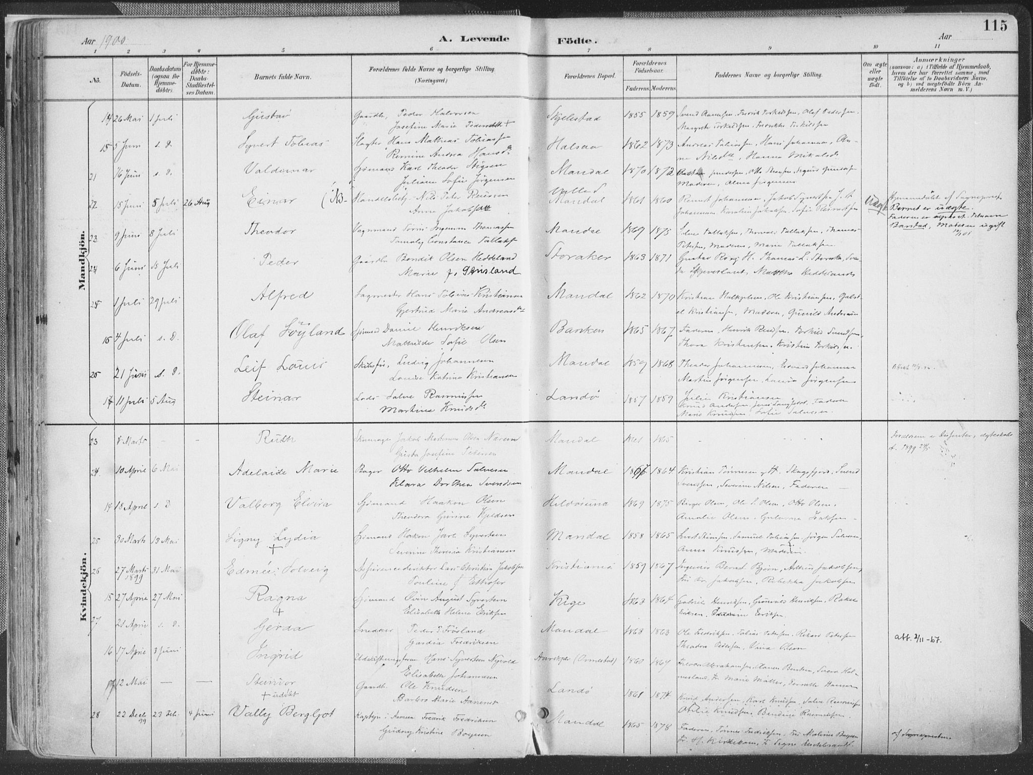 Mandal sokneprestkontor, AV/SAK-1111-0030/F/Fa/Faa/L0018: Parish register (official) no. A 18, 1890-1905, p. 115