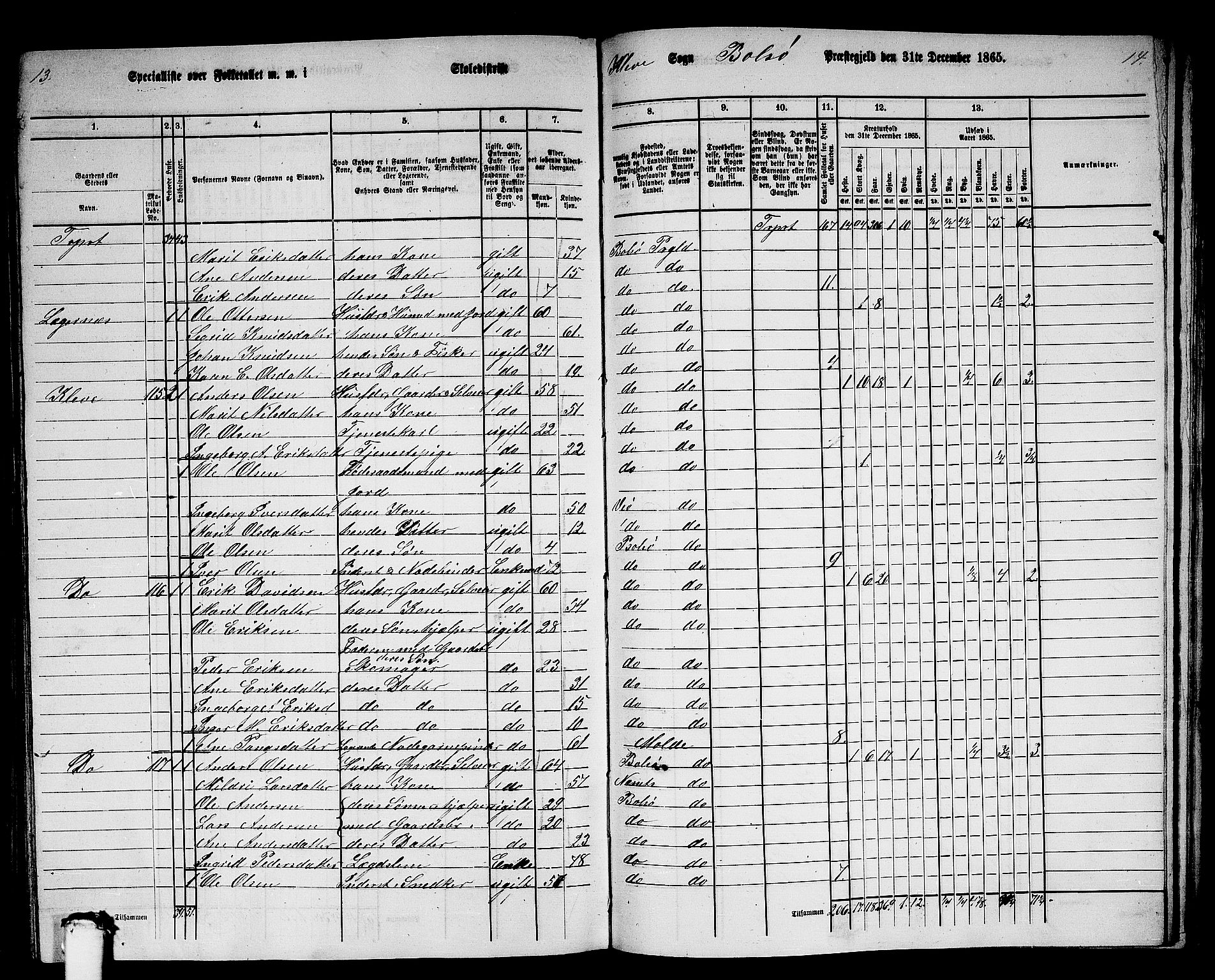 RA, 1865 census for Bolsøy, 1865, p. 104