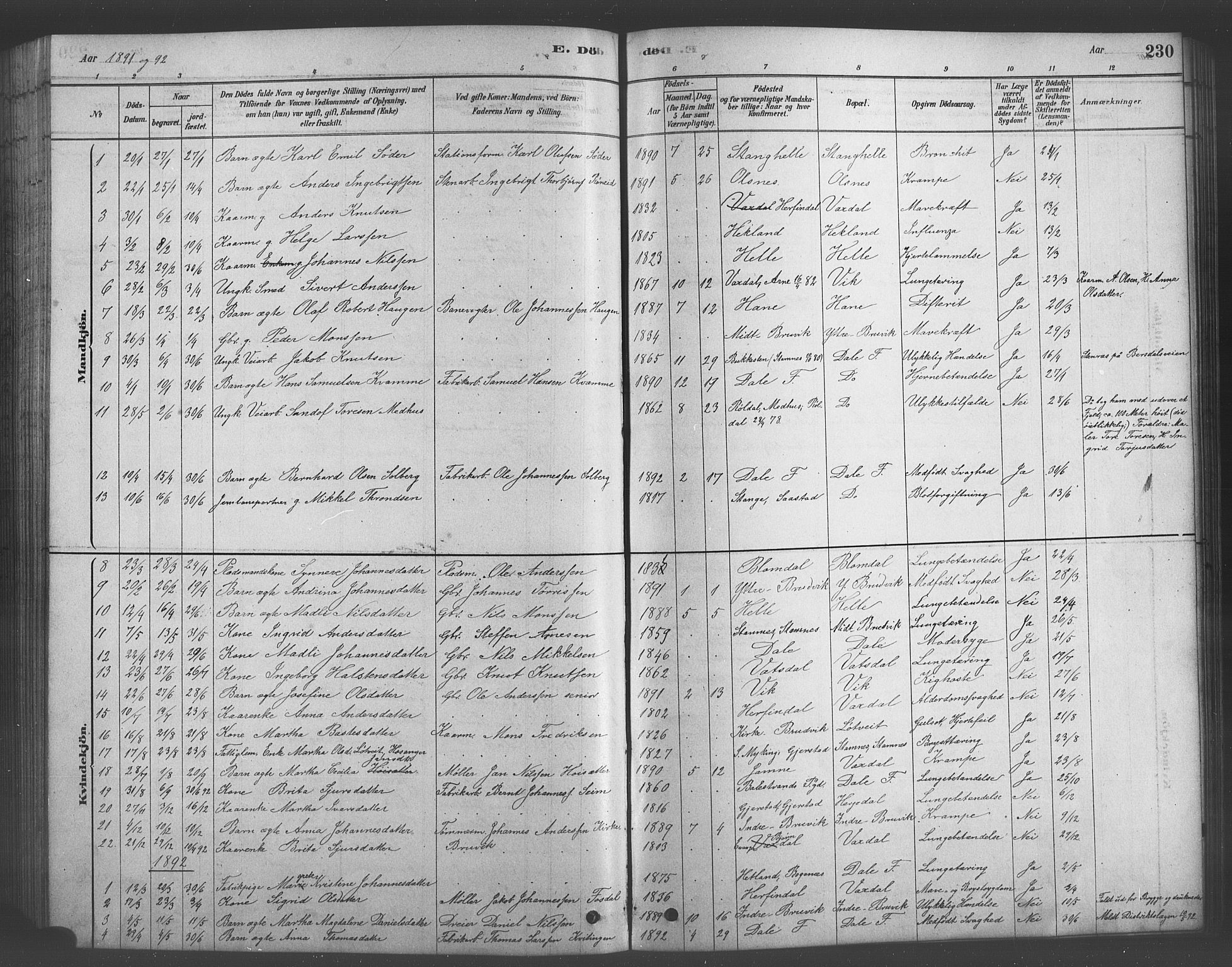 Bruvik Sokneprestembete, SAB/A-74701/H/Hab: Parish register (copy) no. A 1, 1878-1907, p. 230