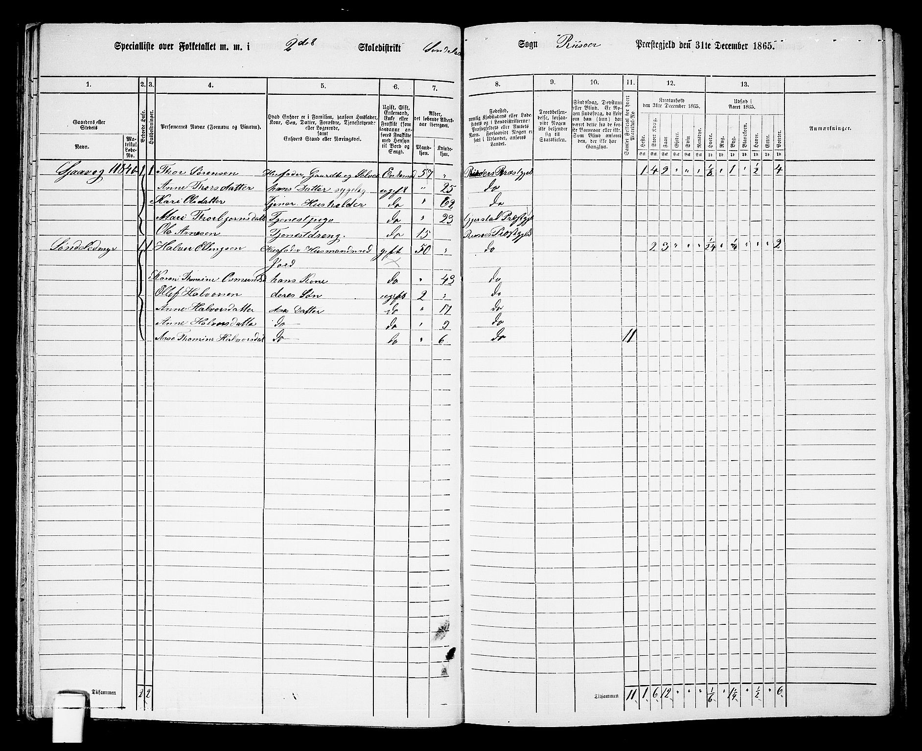 RA, 1865 census for Risør/Søndeled, 1865, p. 46