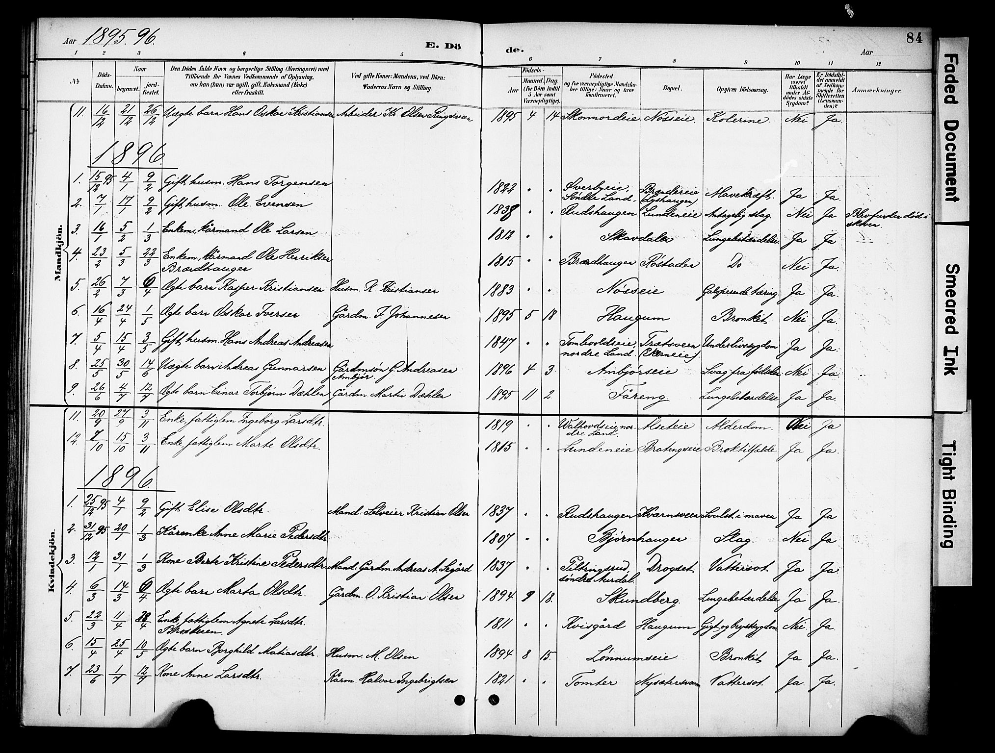 Biri prestekontor, SAH/PREST-096/H/Ha/Haa/L0008: Parish register (official) no. 8, 1894-1901, p. 84