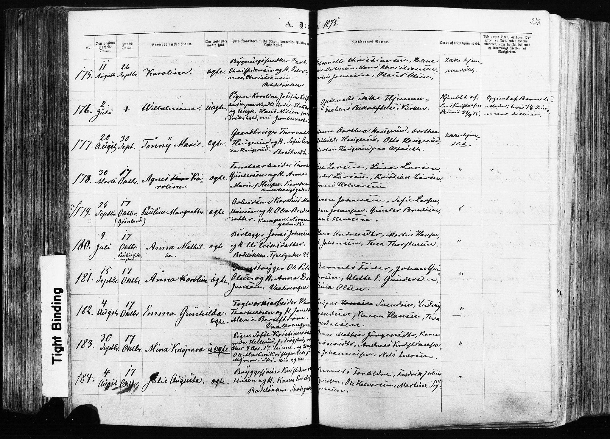 Østre Aker prestekontor Kirkebøker, AV/SAO-A-10840/F/Fa/L0003: Parish register (official) no. I 3, 1869-1875, p. 238