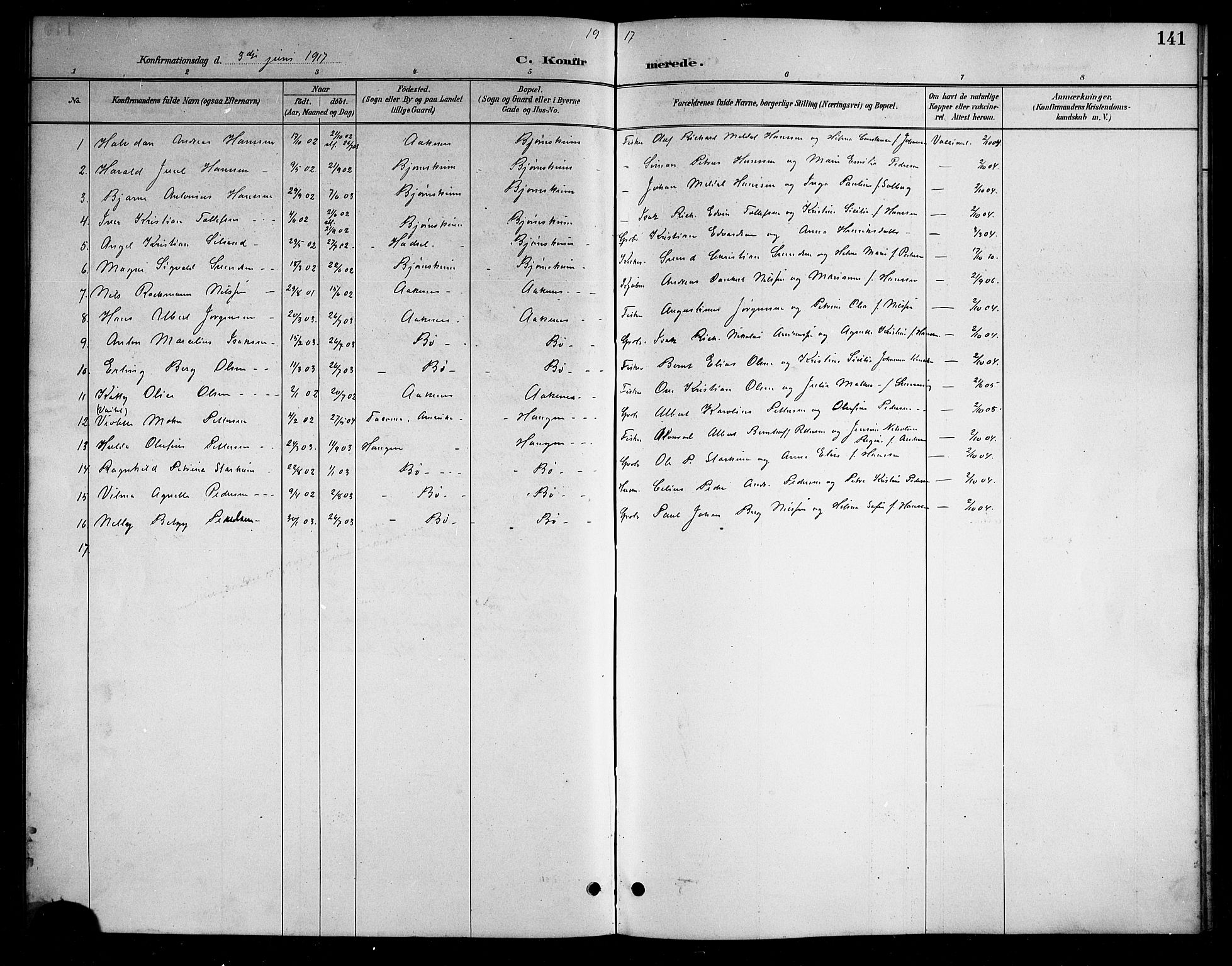 Ministerialprotokoller, klokkerbøker og fødselsregistre - Nordland, AV/SAT-A-1459/898/L1427: Parish register (copy) no. 898C02, 1887-1917, p. 141