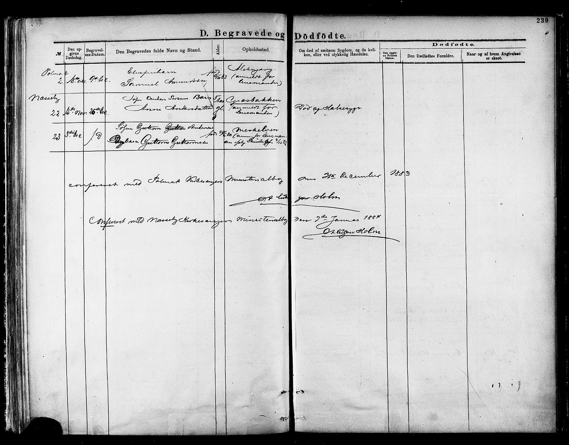 Nesseby sokneprestkontor, AV/SATØ-S-1330/H/Ha/L0004kirke: Parish register (official) no. 4, 1877-1884, p. 239