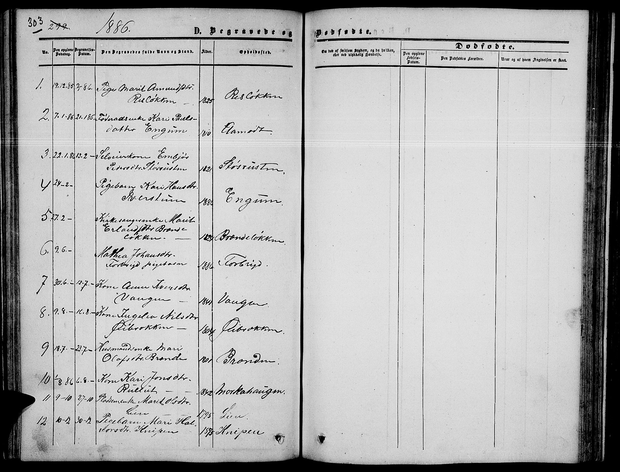 Nord-Fron prestekontor, SAH/PREST-080/H/Ha/Hab/L0003: Parish register (copy) no. 3, 1851-1886, p. 303