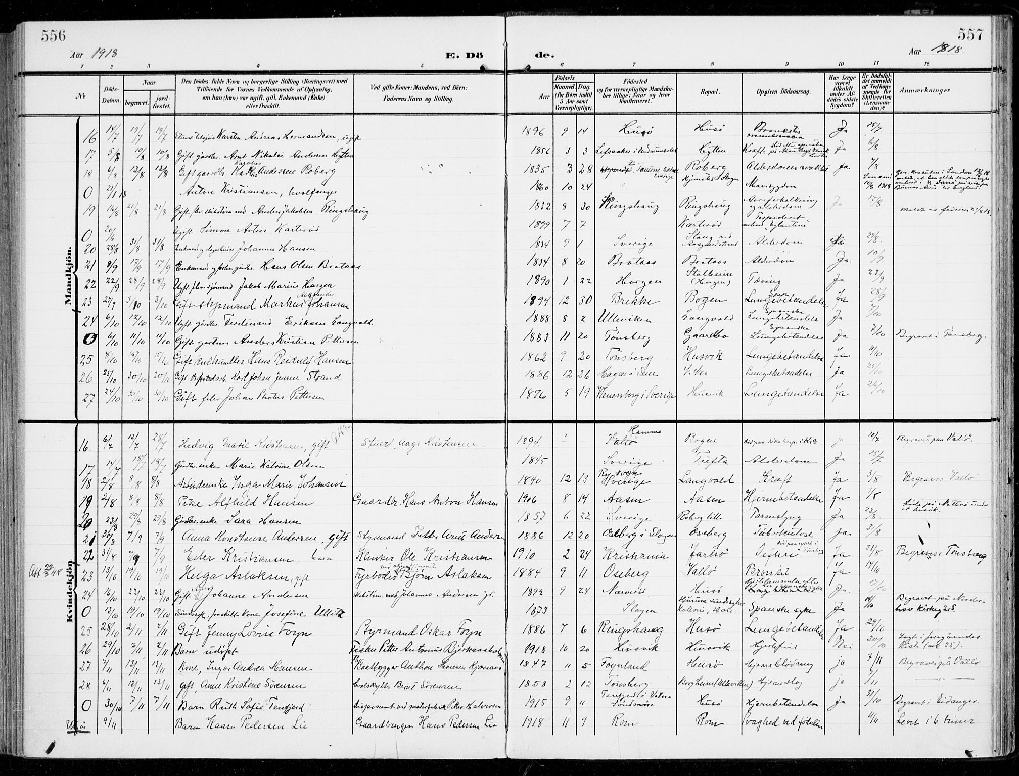 Sem kirkebøker, SAKO/A-5/F/Fb/L0006: Parish register (official) no. II 6, 1905-1918, p. 556-557