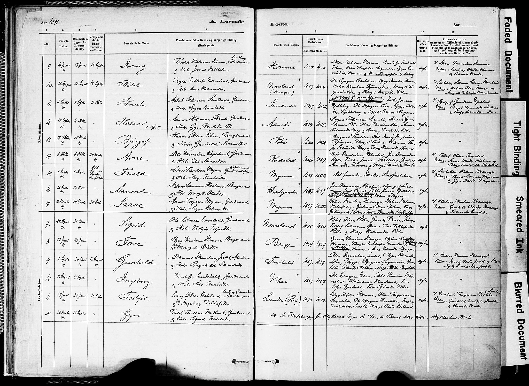 Valle sokneprestkontor, SAK/1111-0044/F/Fa/Fac/L0009: Parish register (official) no. A 9, 1882-1913, p. 21