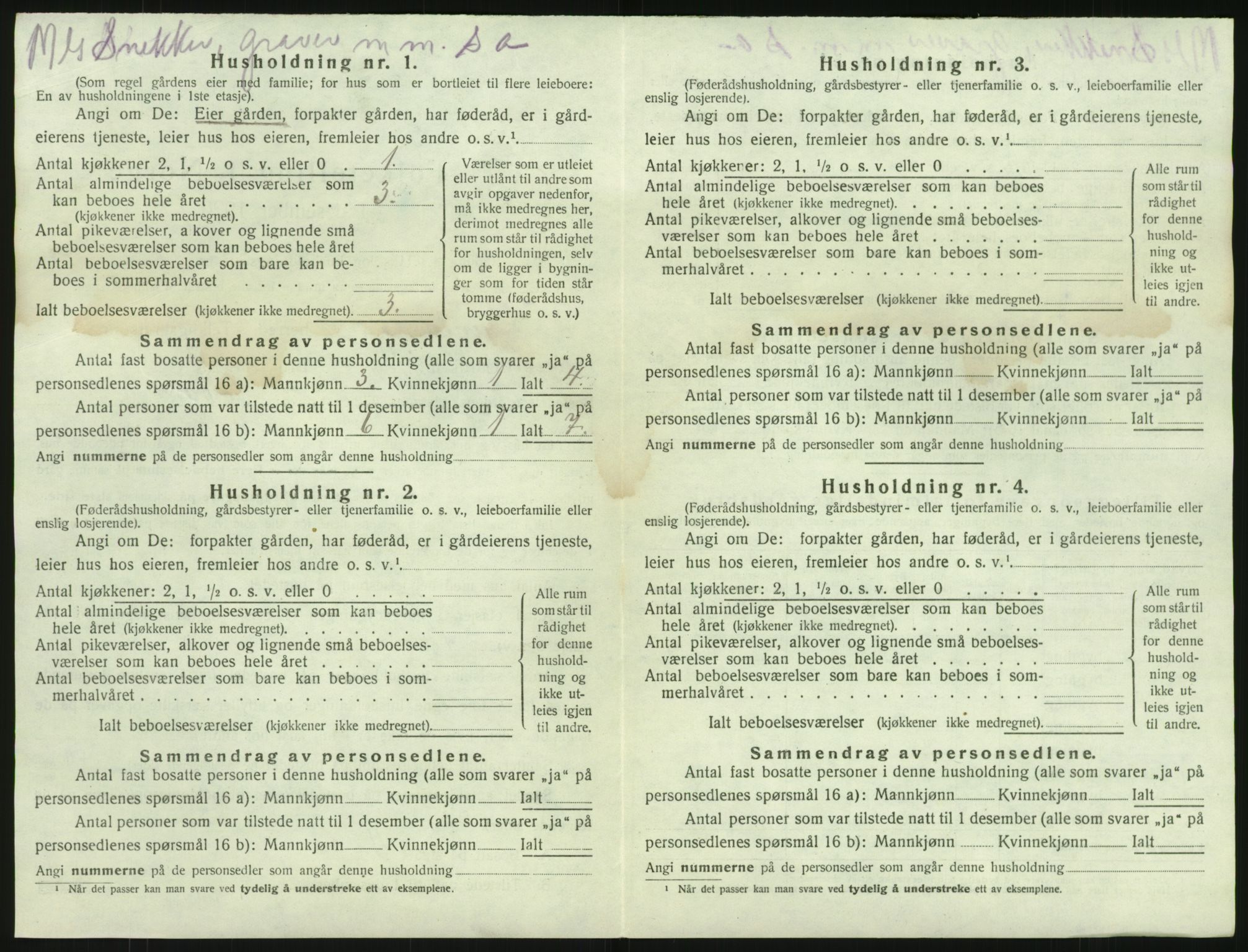 SAKO, 1920 census for Brunlanes, 1920, p. 476