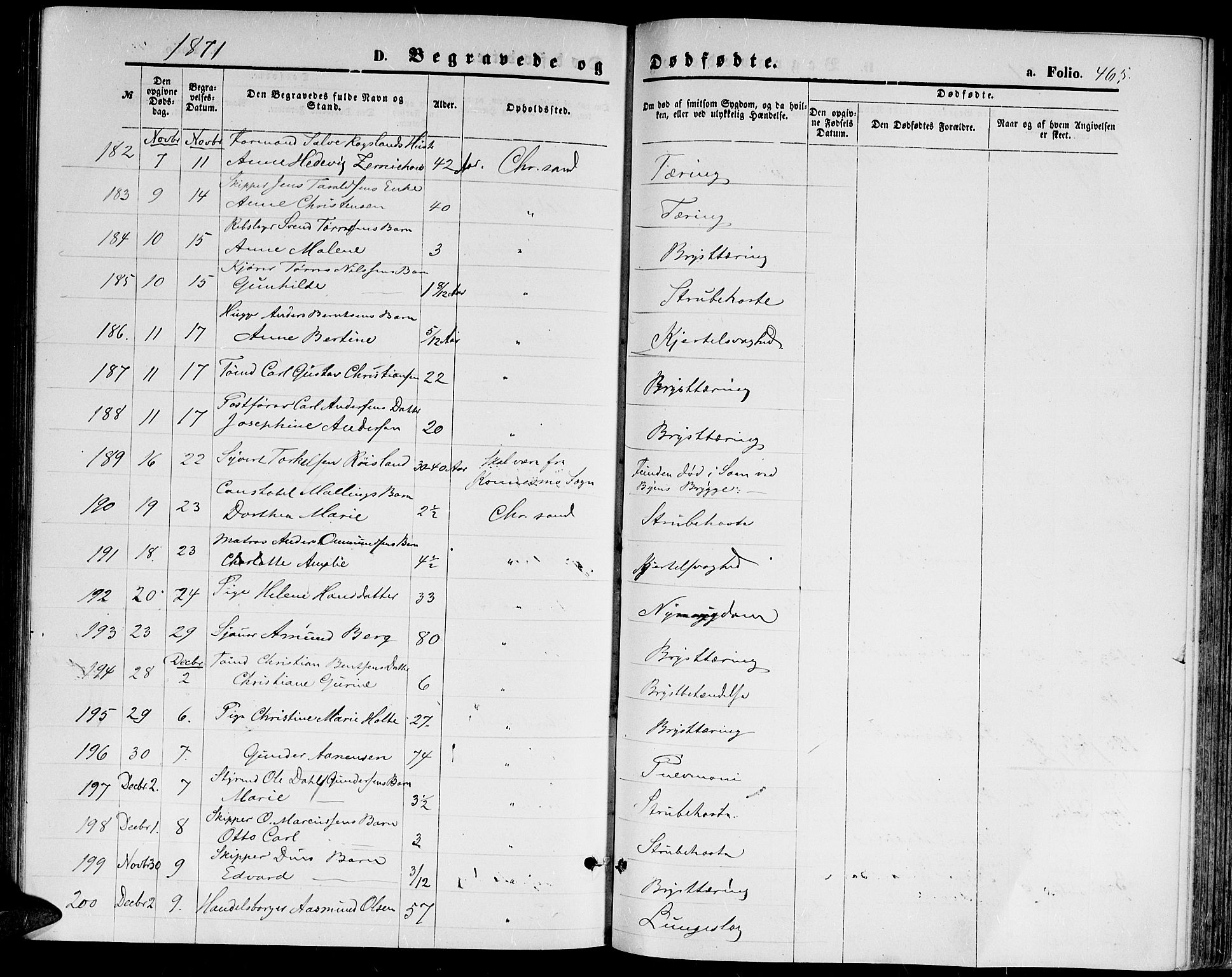 Kristiansand domprosti, AV/SAK-1112-0006/F/Fb/L0013: Parish register (copy) no. B 13, 1871-1880, p. 465