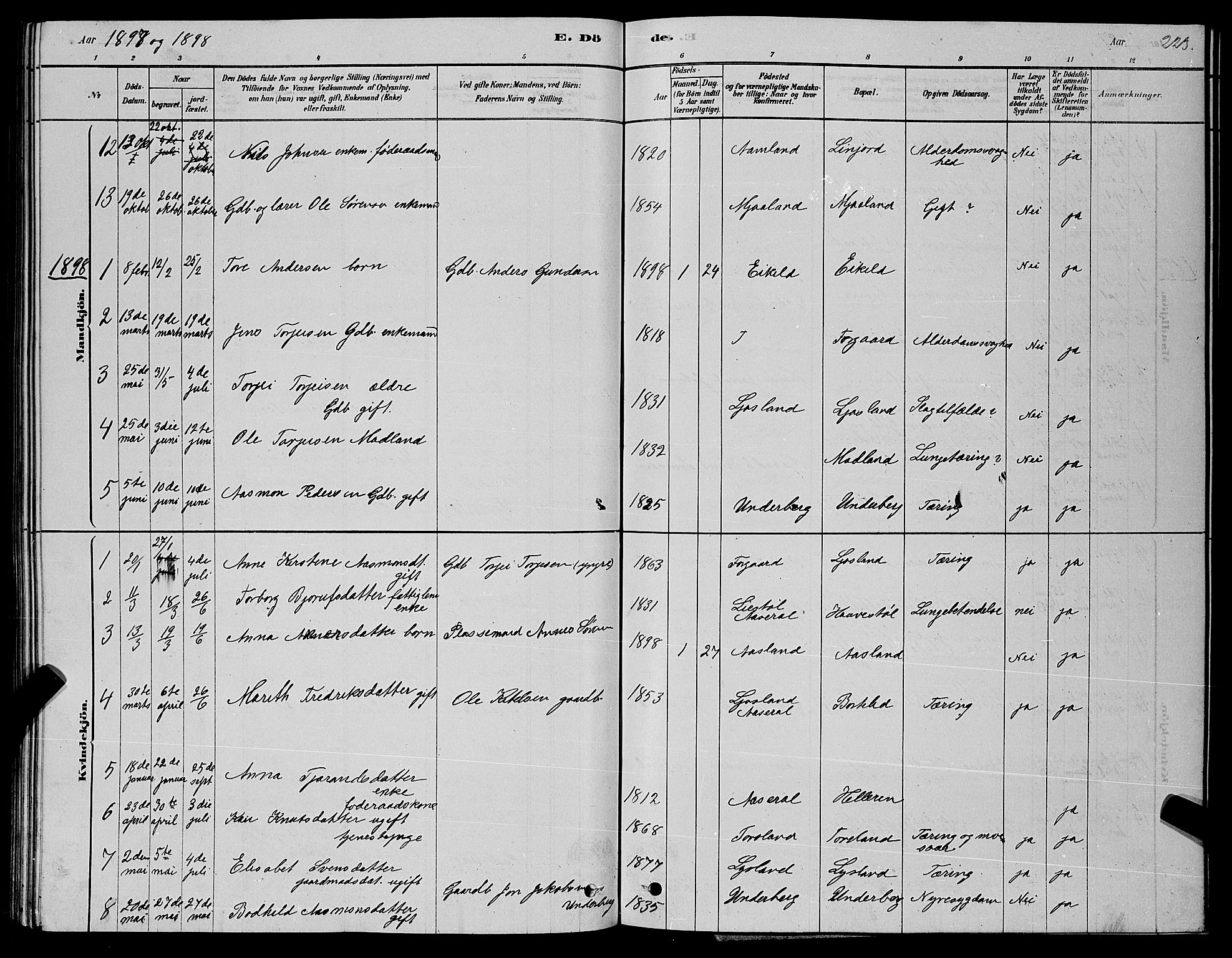 Åseral sokneprestkontor, AV/SAK-1111-0051/F/Fb/L0002: Parish register (copy) no. B 2, 1878-1899, p. 223