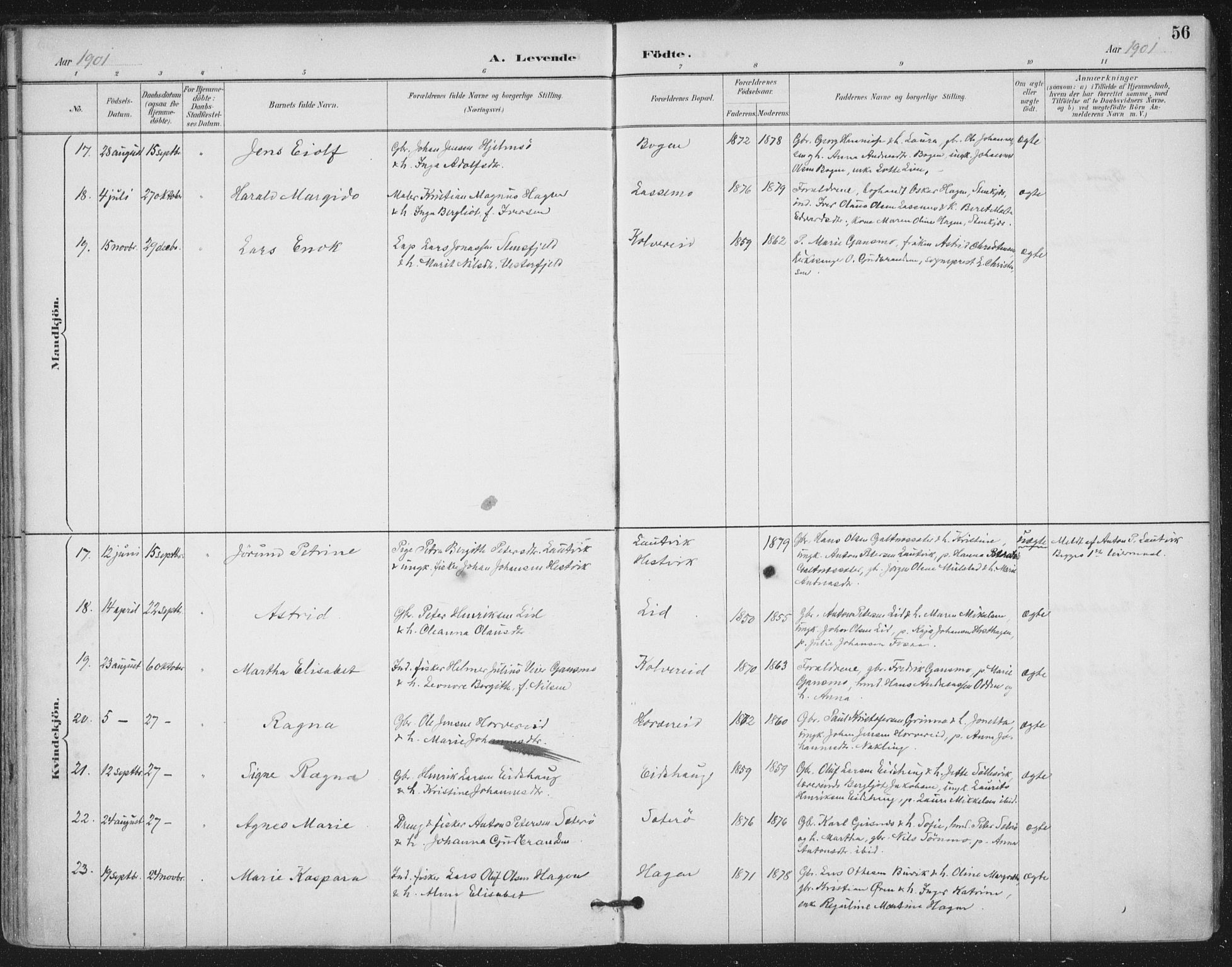 Ministerialprotokoller, klokkerbøker og fødselsregistre - Nord-Trøndelag, AV/SAT-A-1458/780/L0644: Parish register (official) no. 780A08, 1886-1903, p. 56