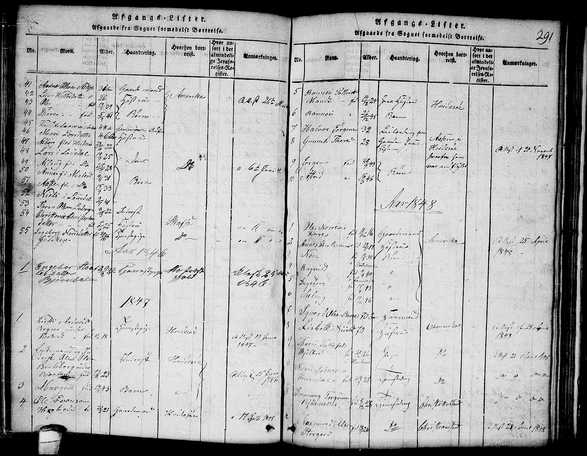 Lårdal kirkebøker, SAKO/A-284/G/Ga/L0001: Parish register (copy) no. I 1, 1815-1861, p. 291